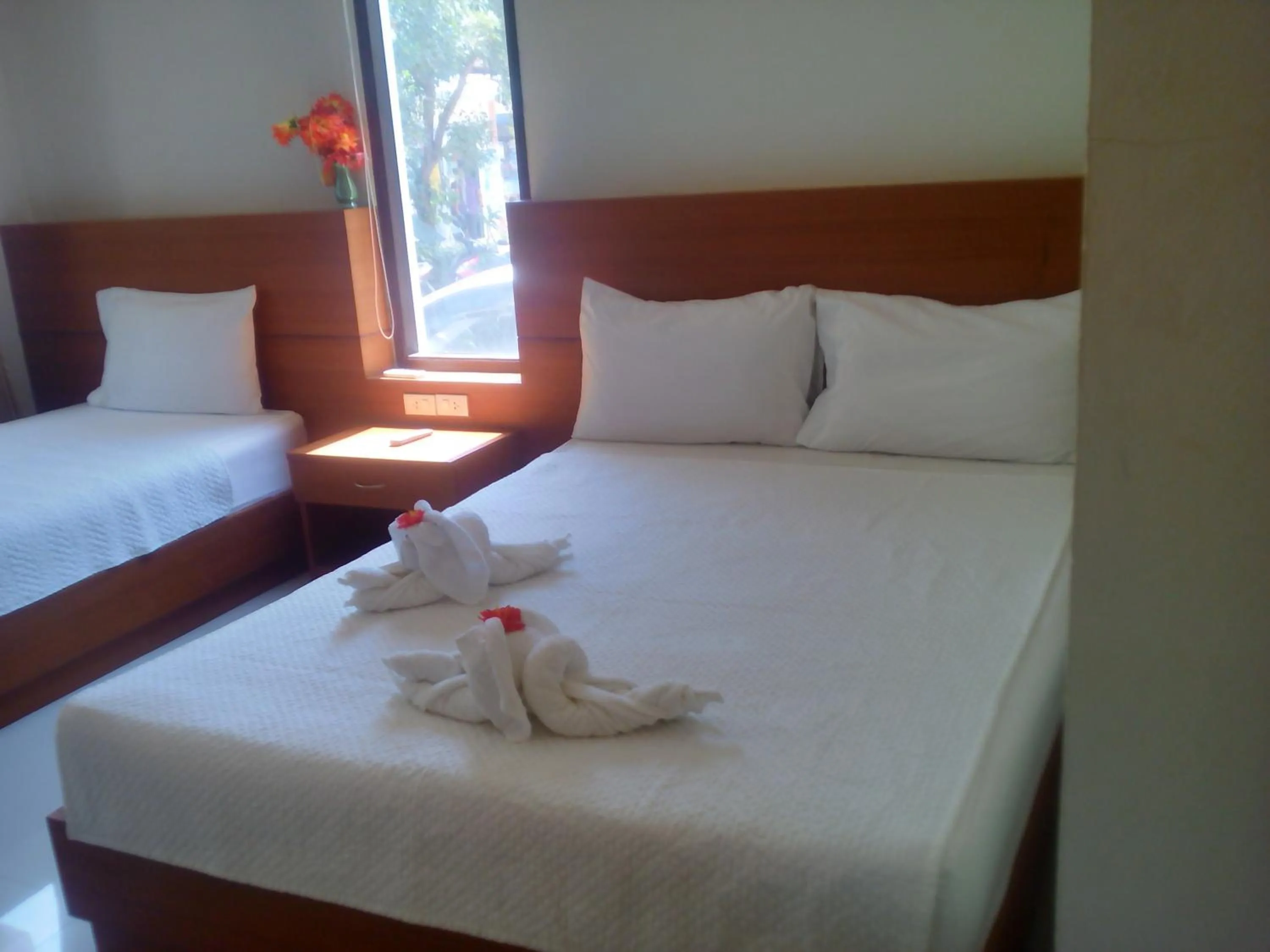 Photo of the whole room, Bed in Modern Resort