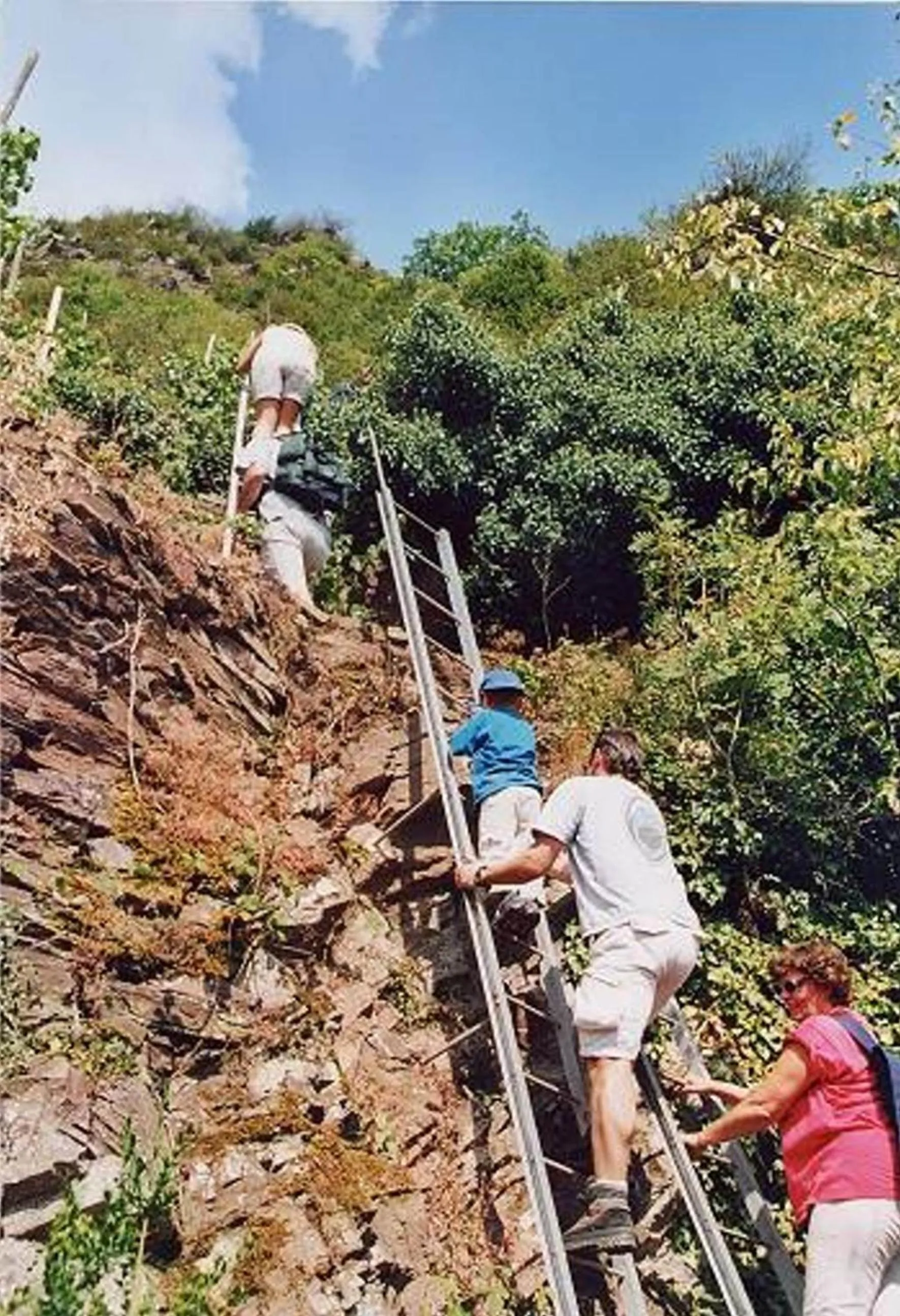Natural landscape in Weinhaus Berg