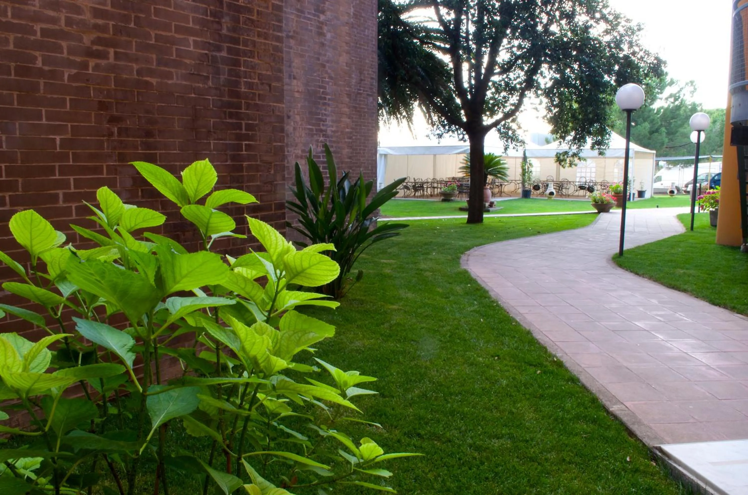 Garden in Hotel Marini