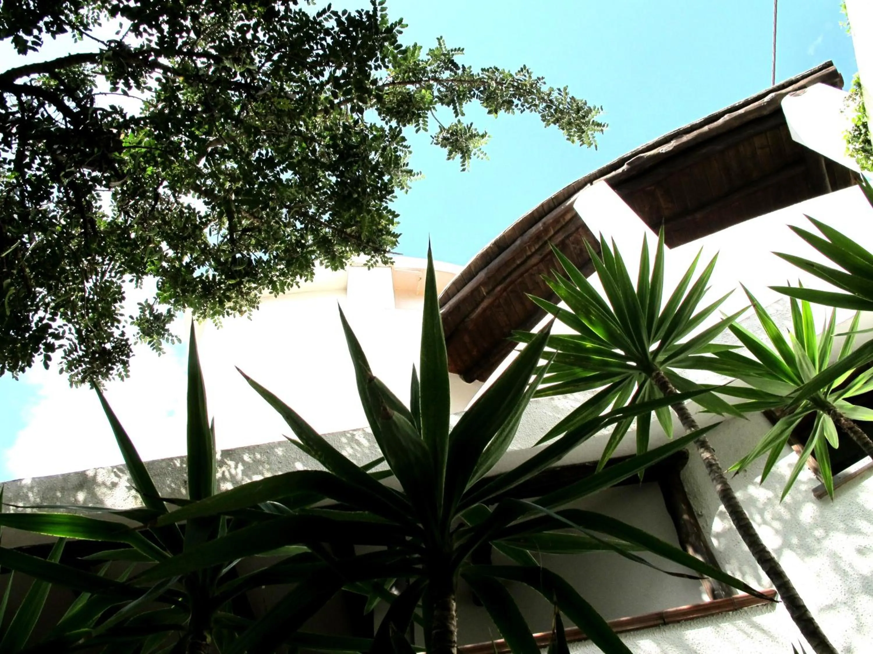 Facade/entrance in Hotel Pop