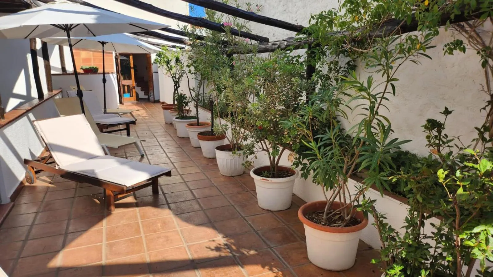 Balcony/Terrace in Hotel Pop