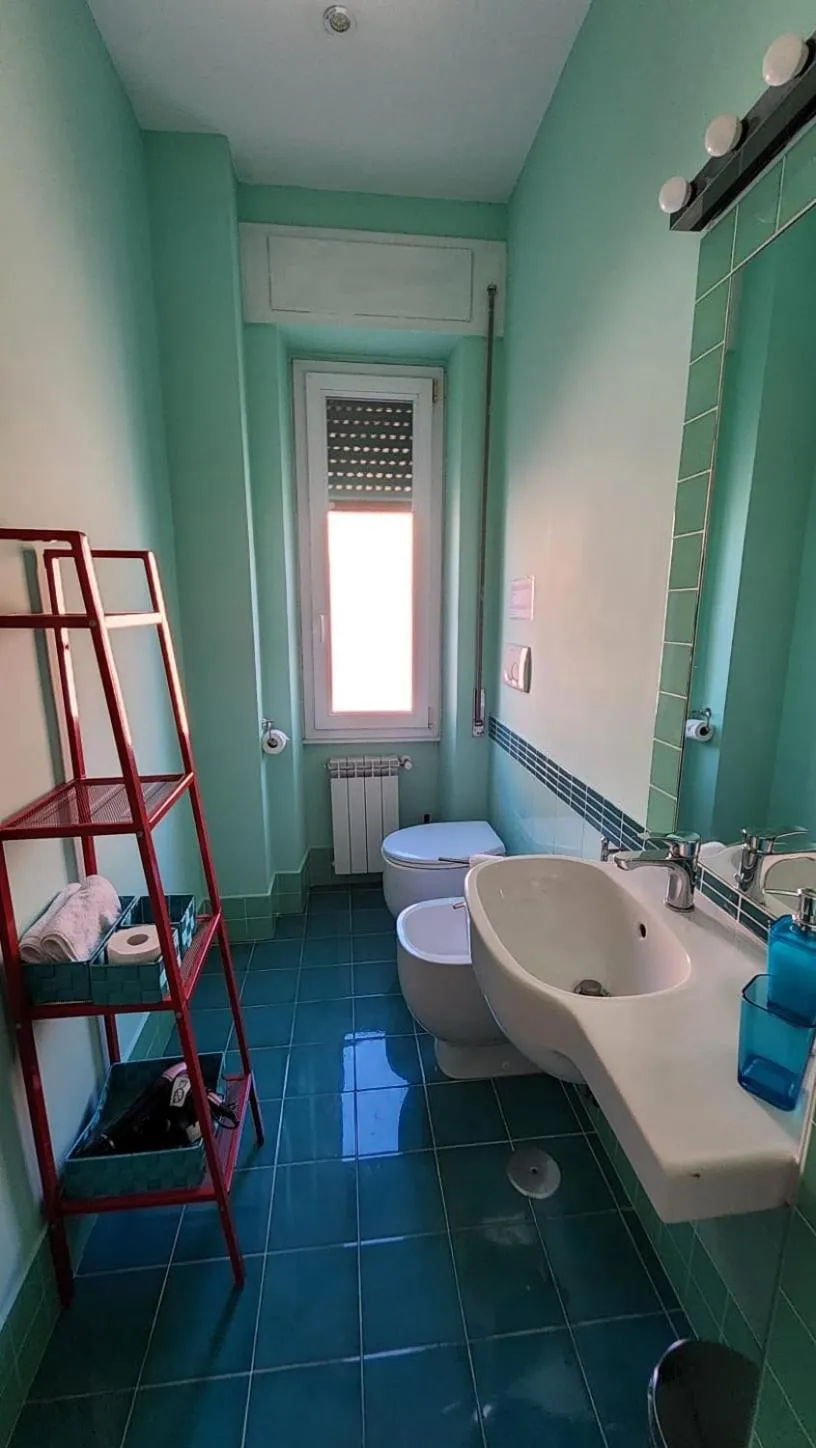 Shower in B&B Anni 50