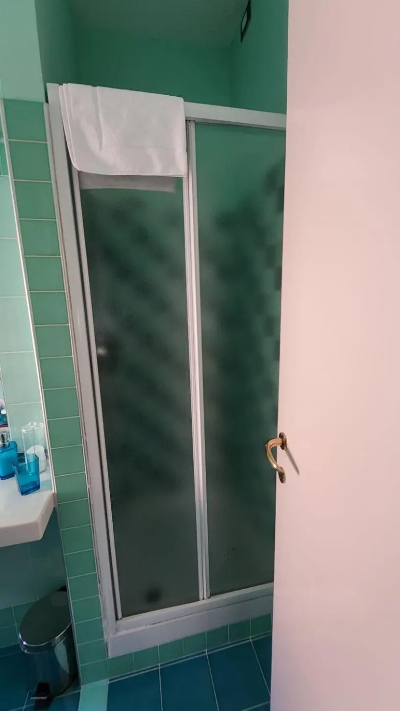 Shower in B&B Anni 50