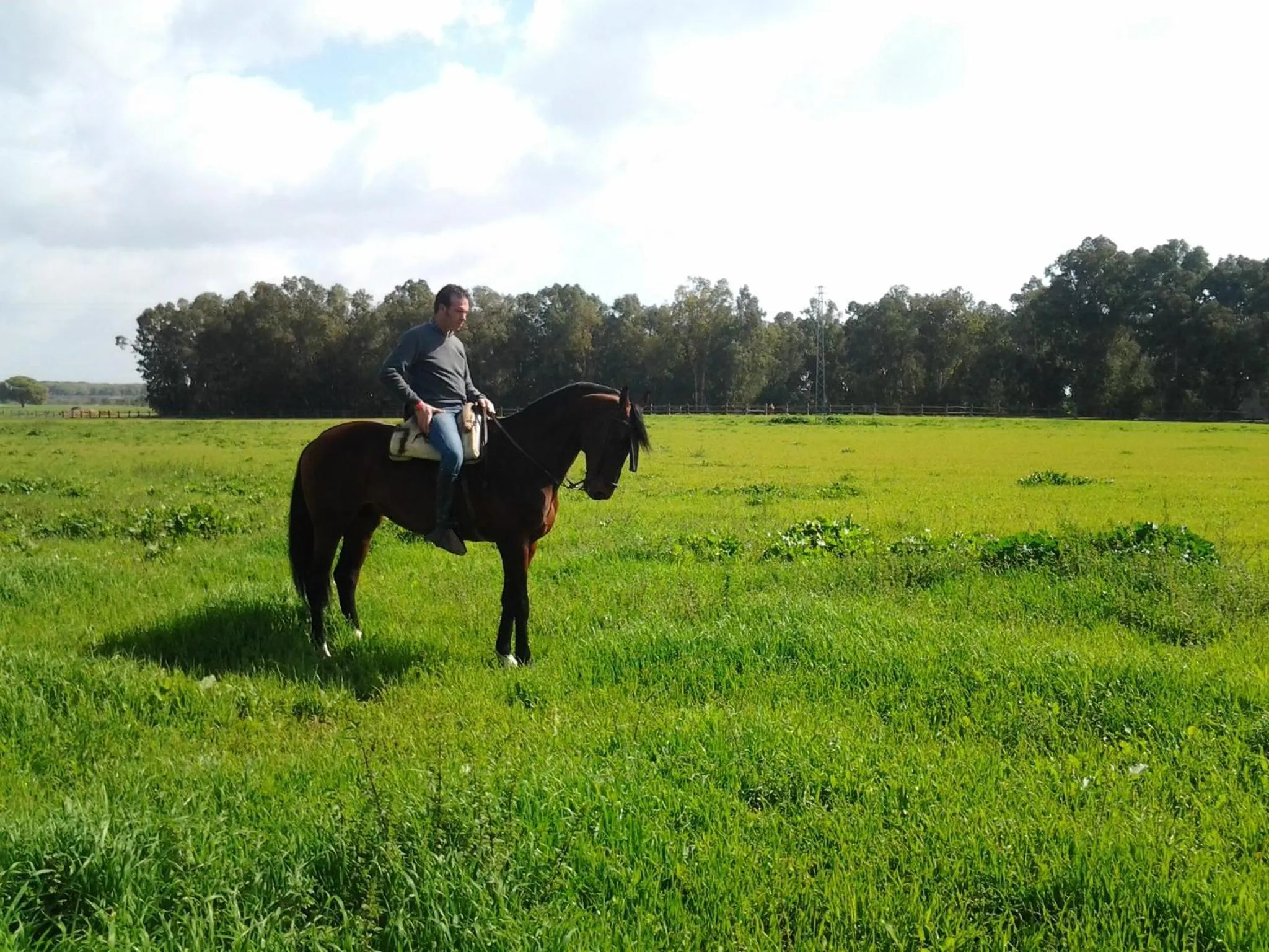 Horse-riding in Hacienda La Indiana