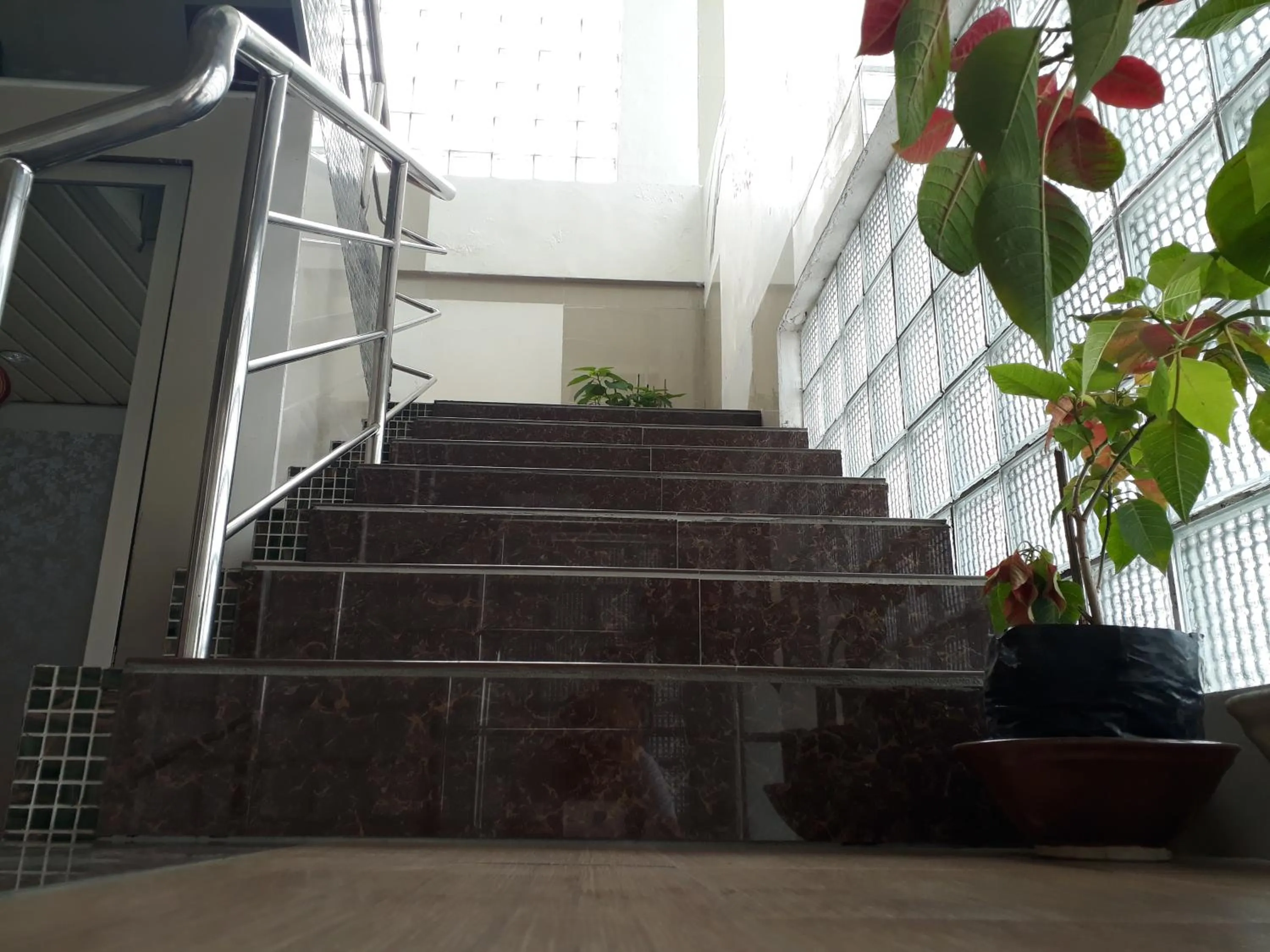 Property building in BnT Inn