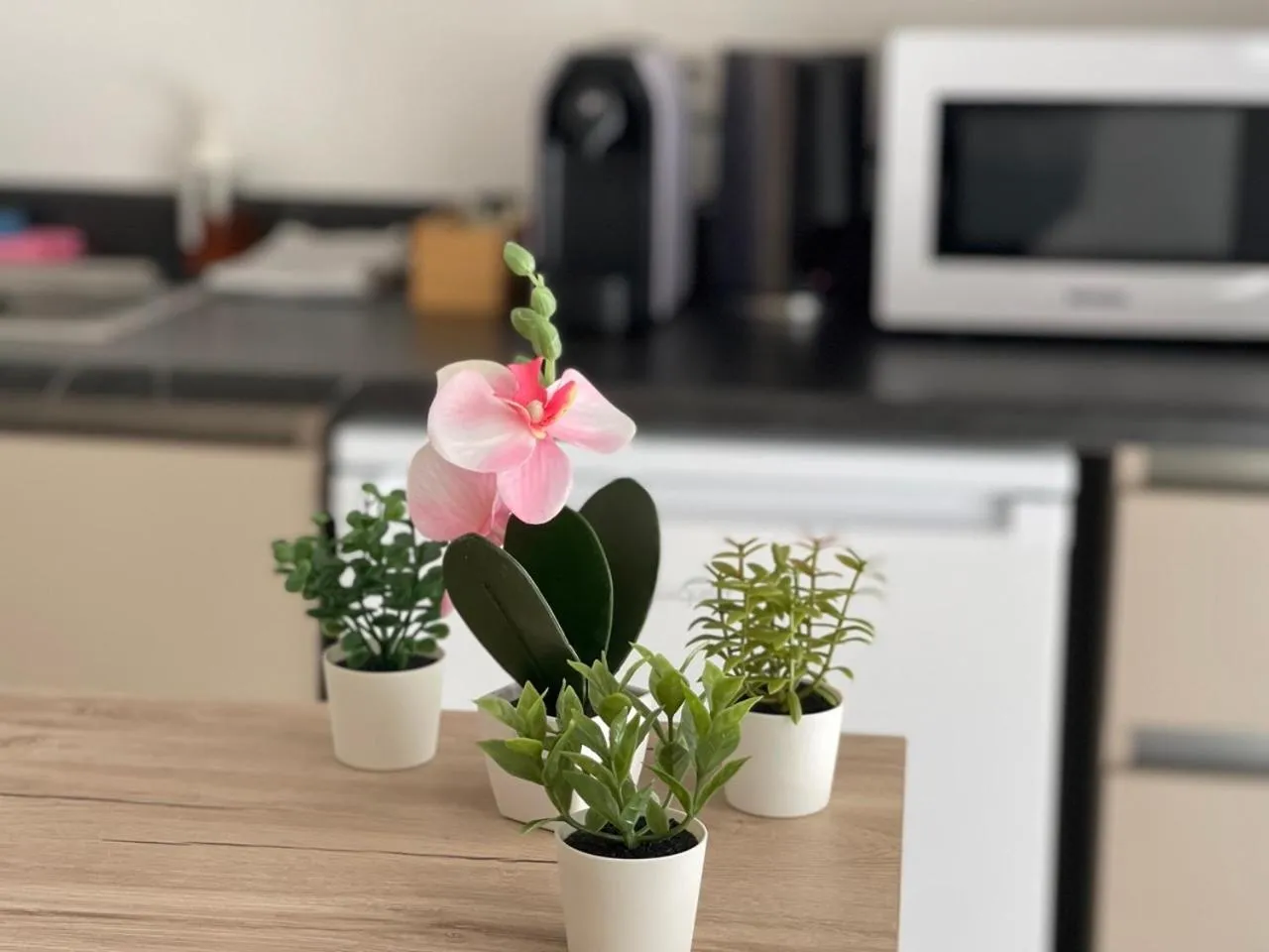 Photo of the whole room in Weseler Wirtshaus Appartements