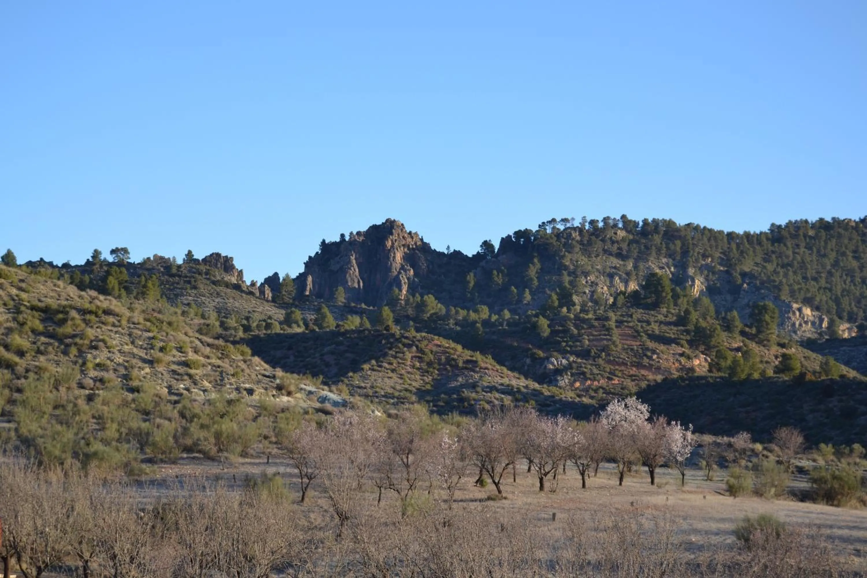 View (from property/room) in Las Casas de la Vega