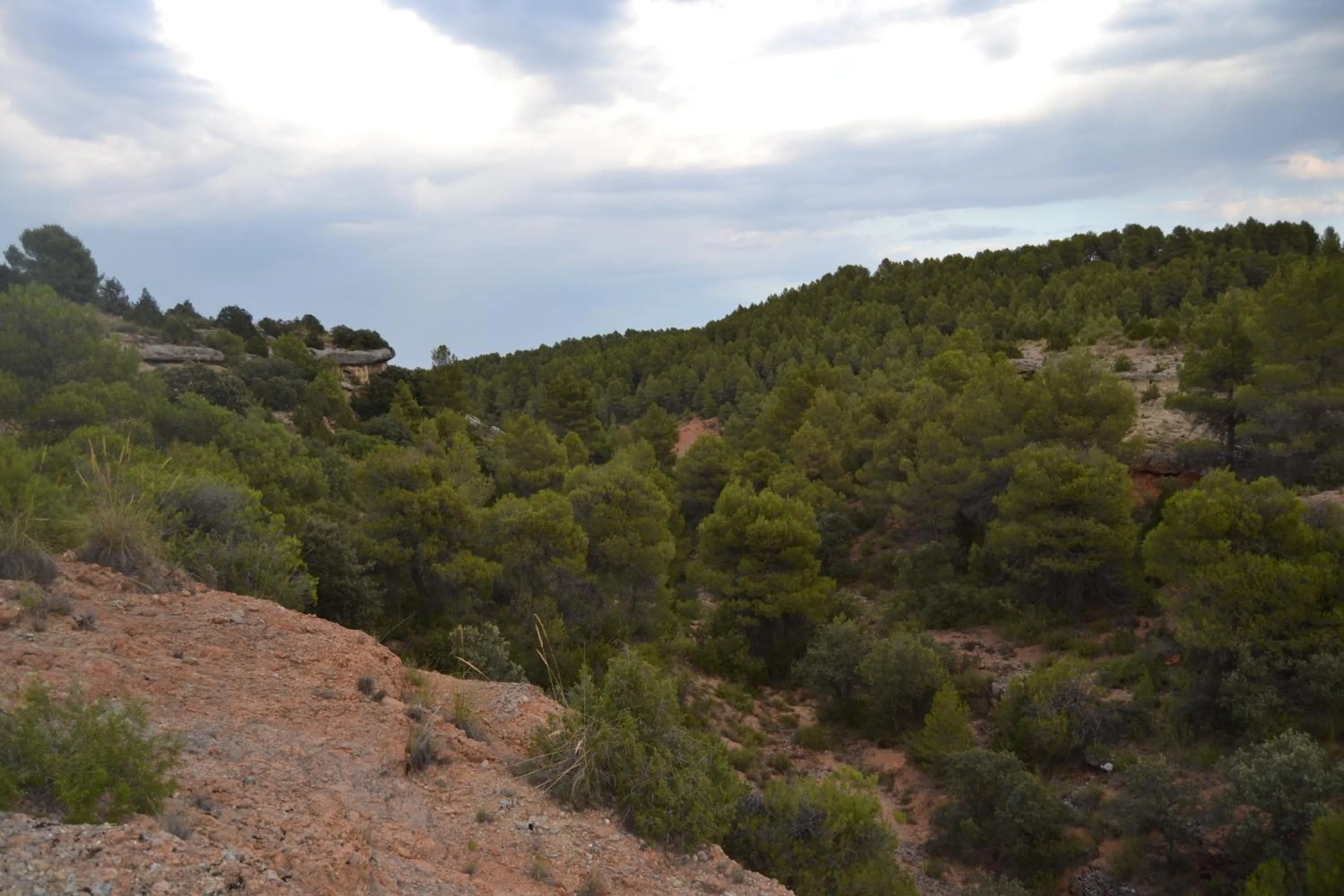 View (from property/room) in Las Casas de la Vega