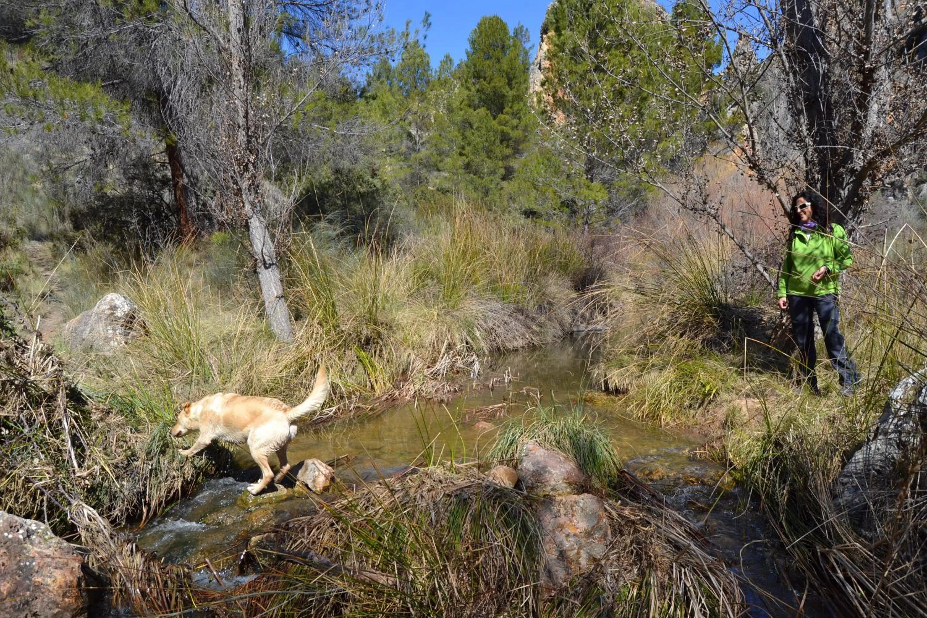 Animals in Las Casas de la Vega