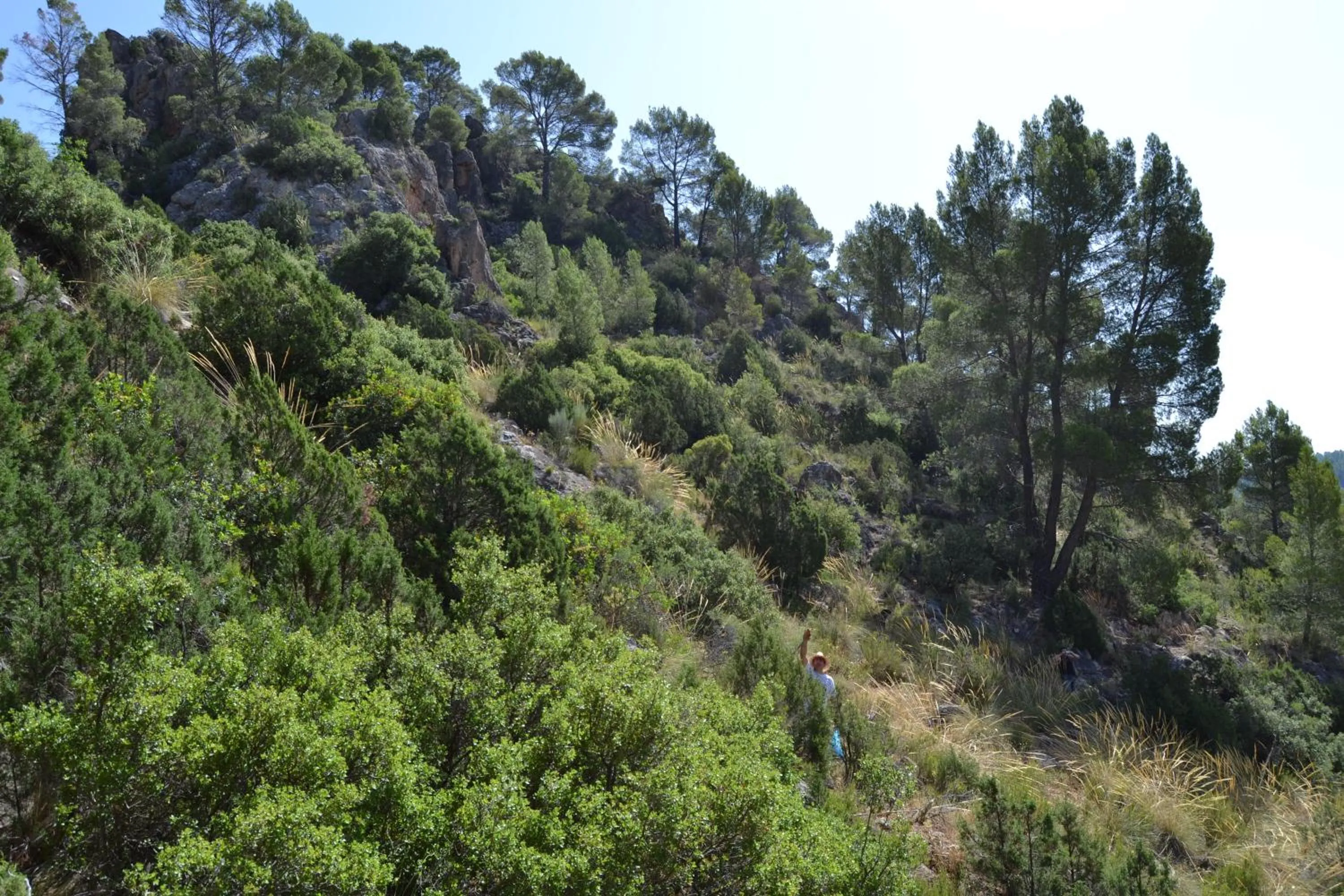 Hiking in Las Casas de la Vega