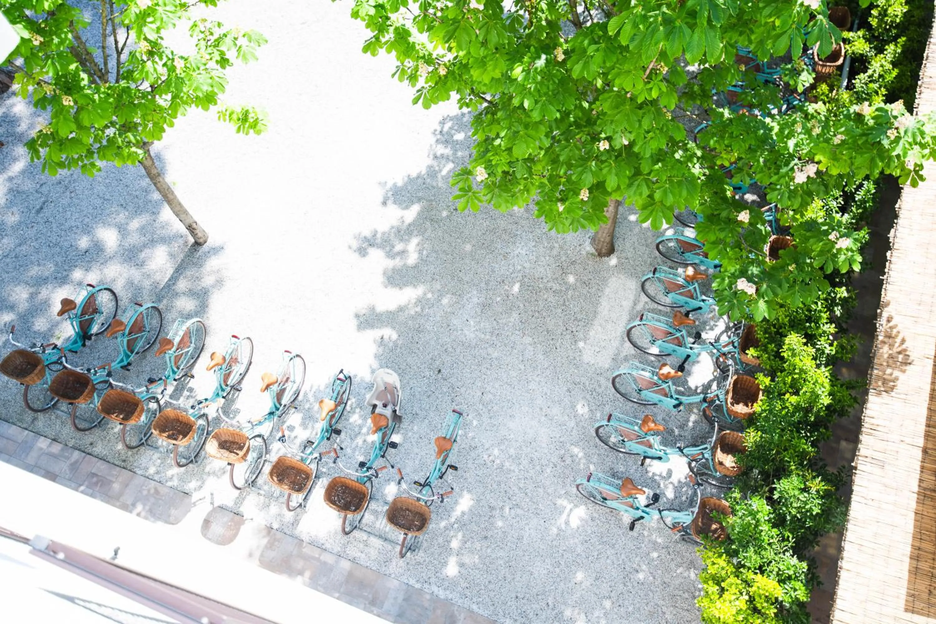 Garden in Hotel La Pineta Al Mare