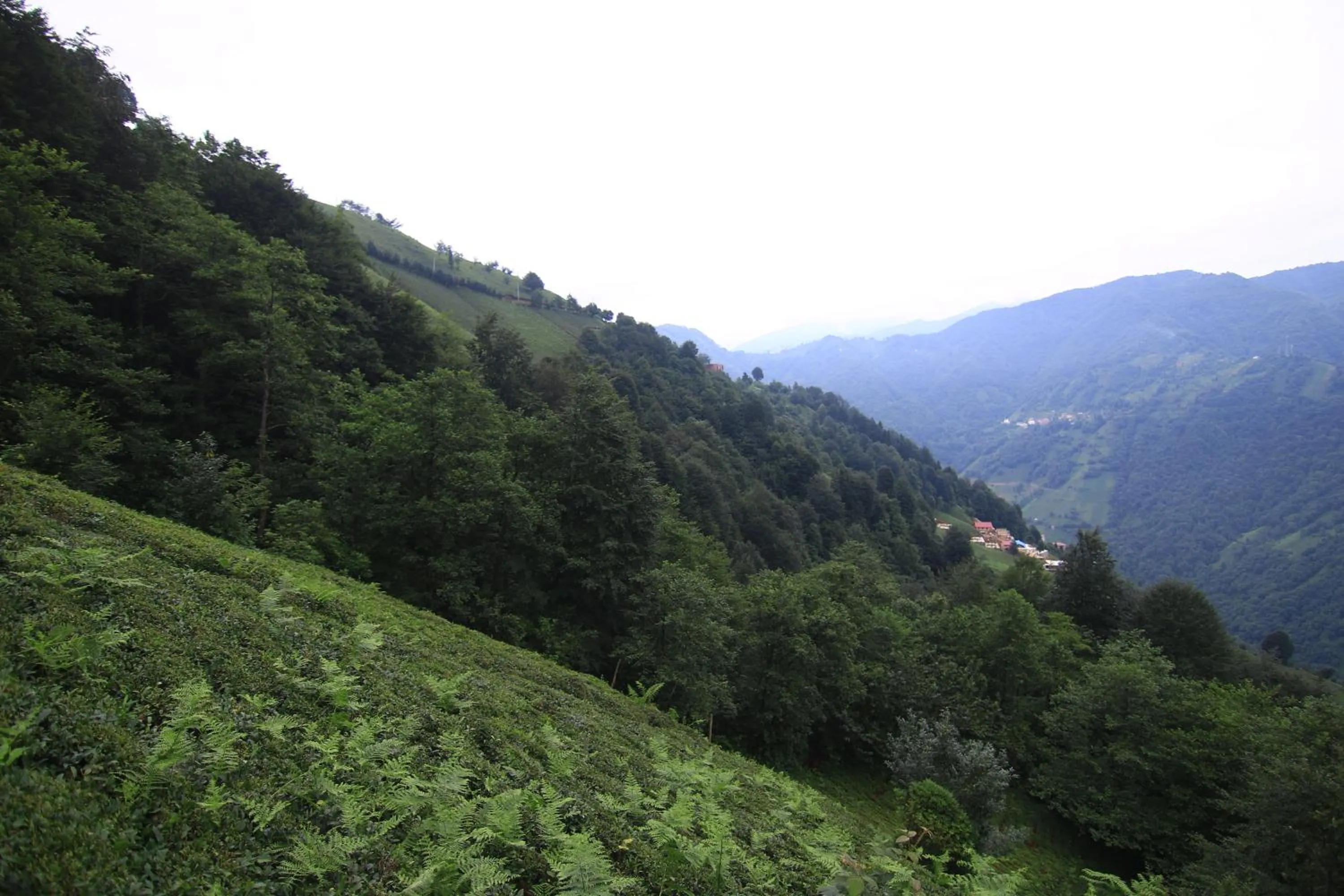 Natural landscape in Tercuman Suit Otel