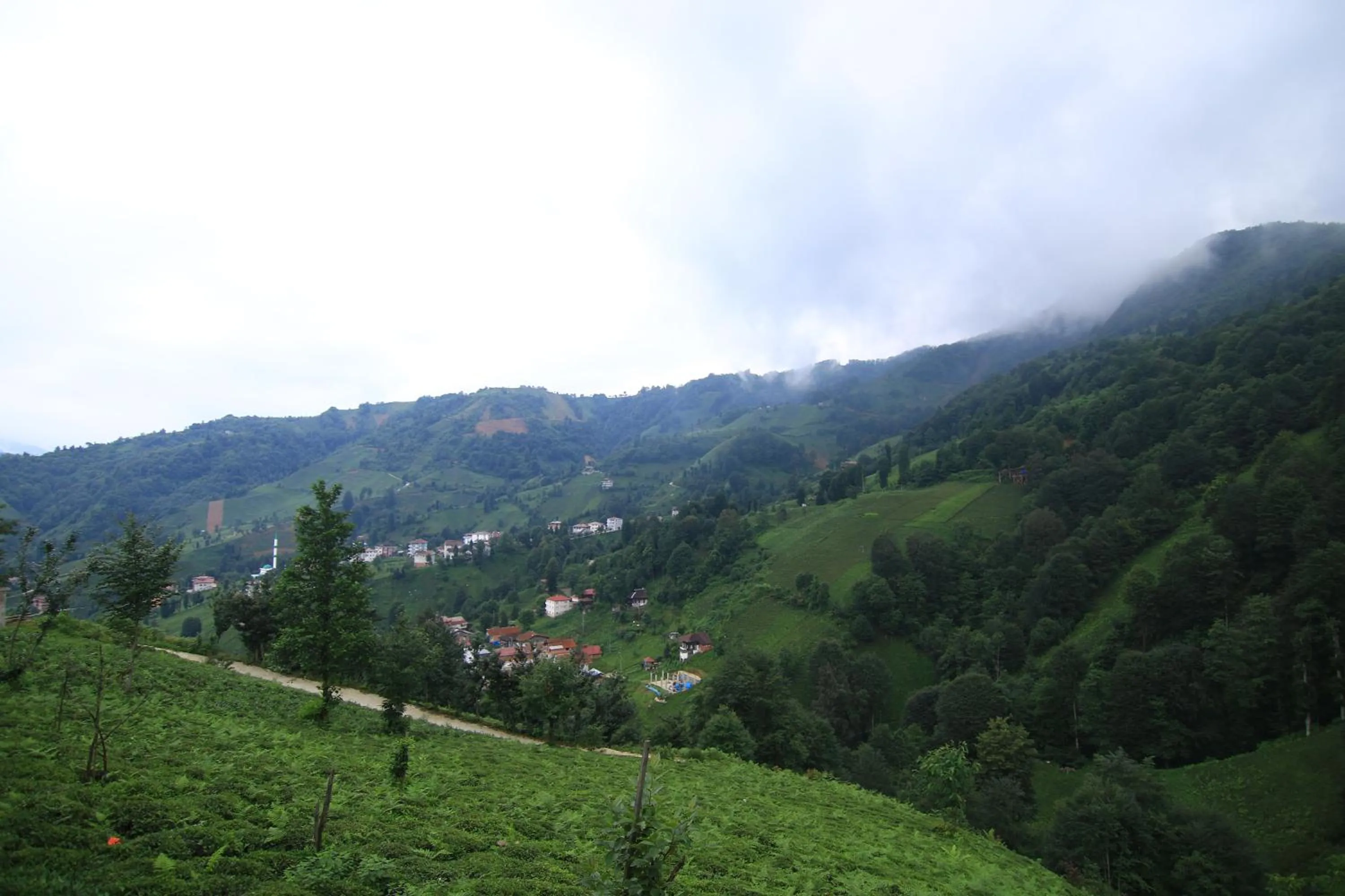 Natural landscape in Tercuman Suit Otel