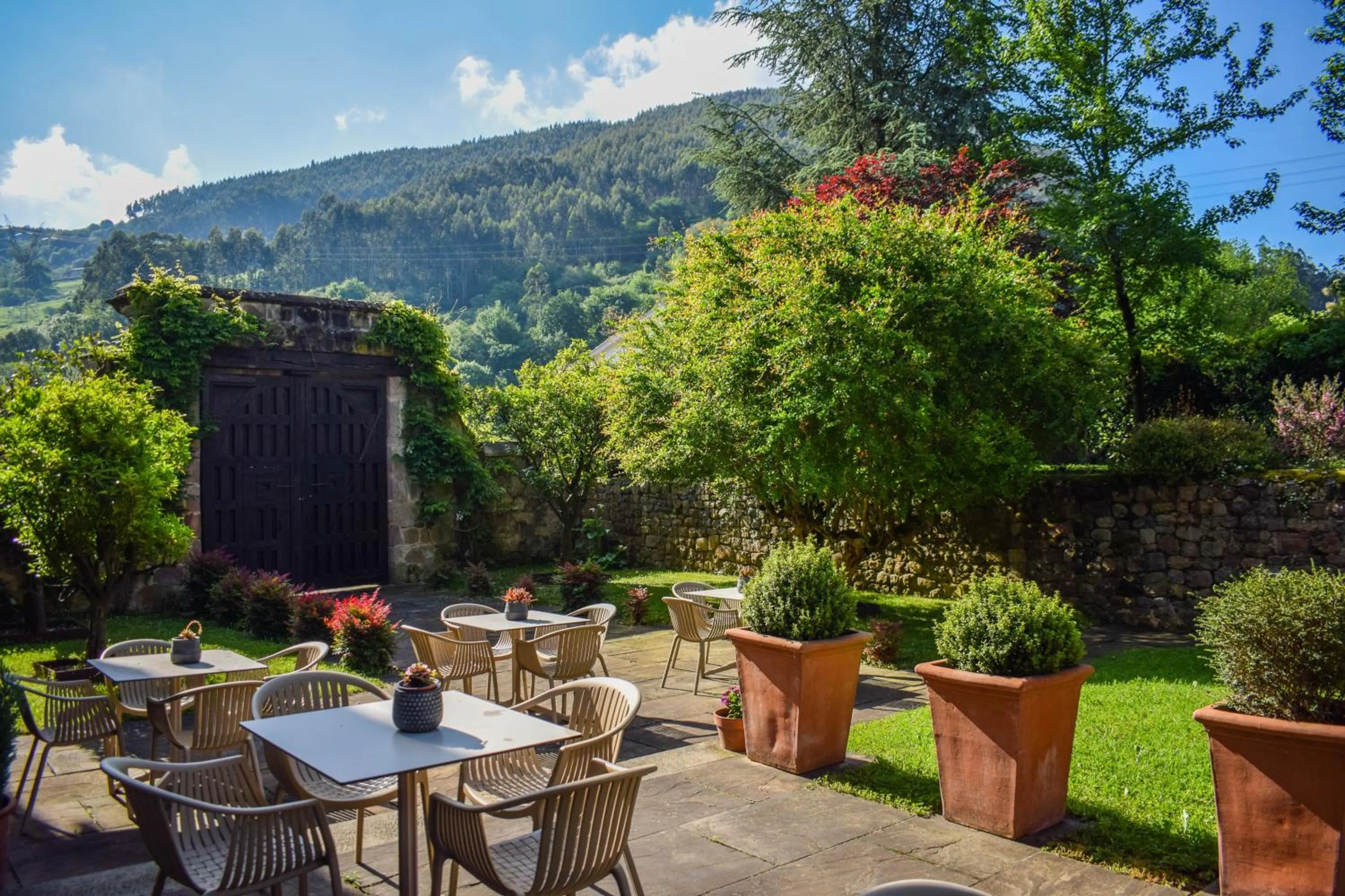 Garden in Casona De La Pinta