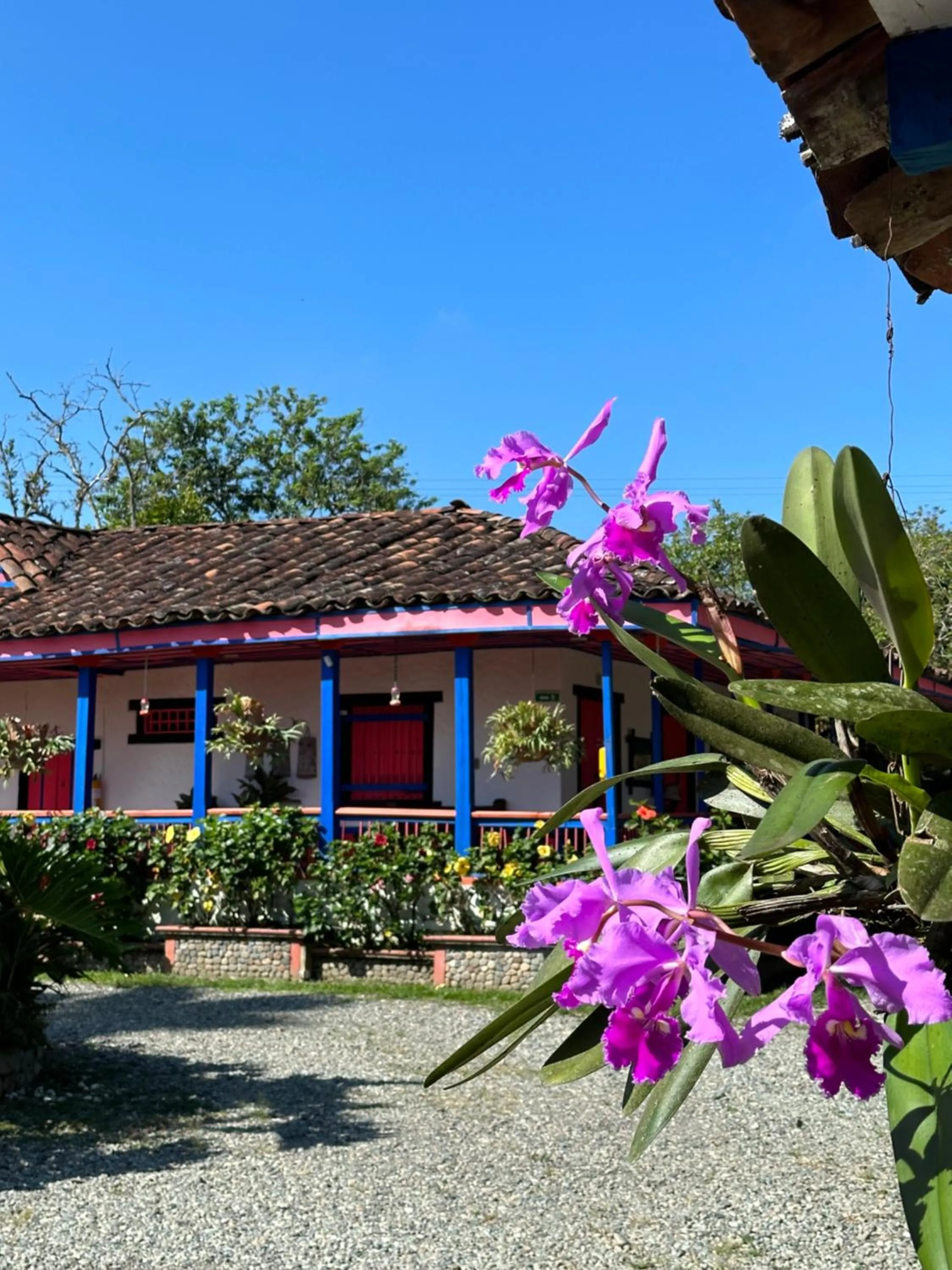 Property building in El Percal Hacienda Hotel