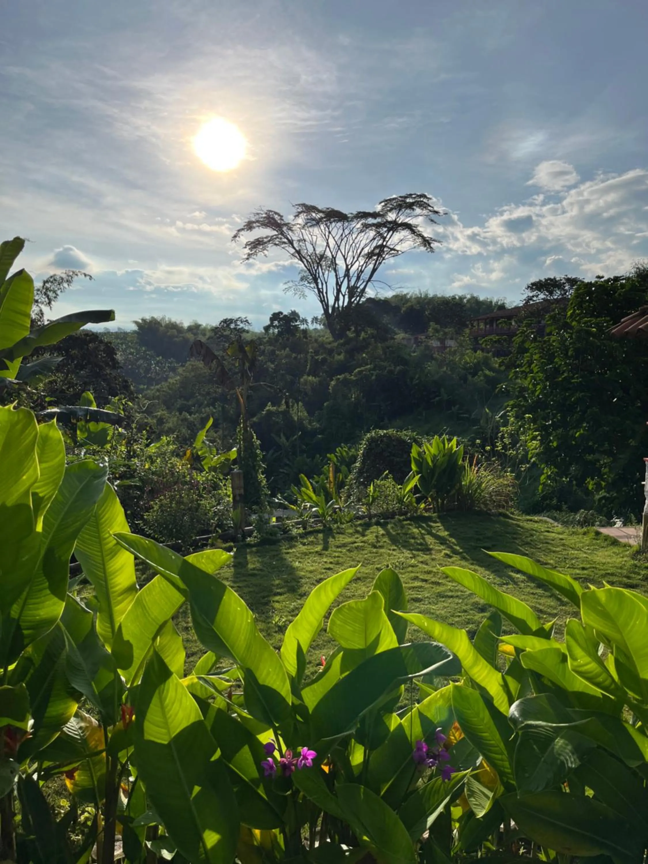 Natural landscape in El Percal Hacienda Hotel