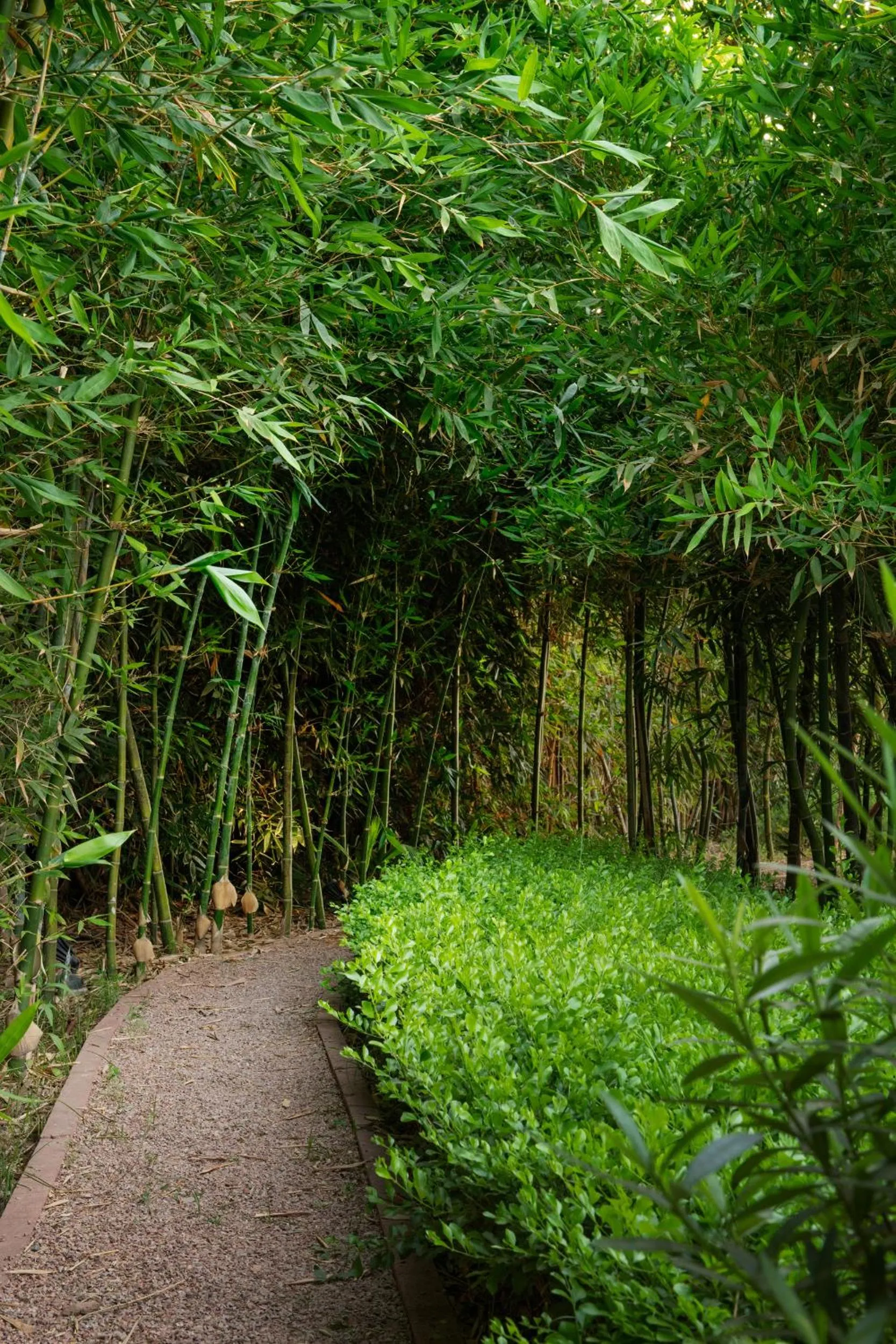 Garden in Pavillon Terra Ababila en Exclusivité