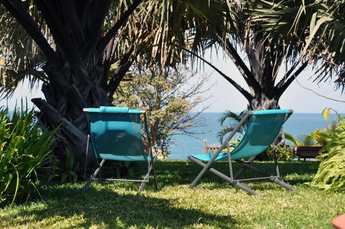 Garden in Leo's Beach Hotel - Adults Only