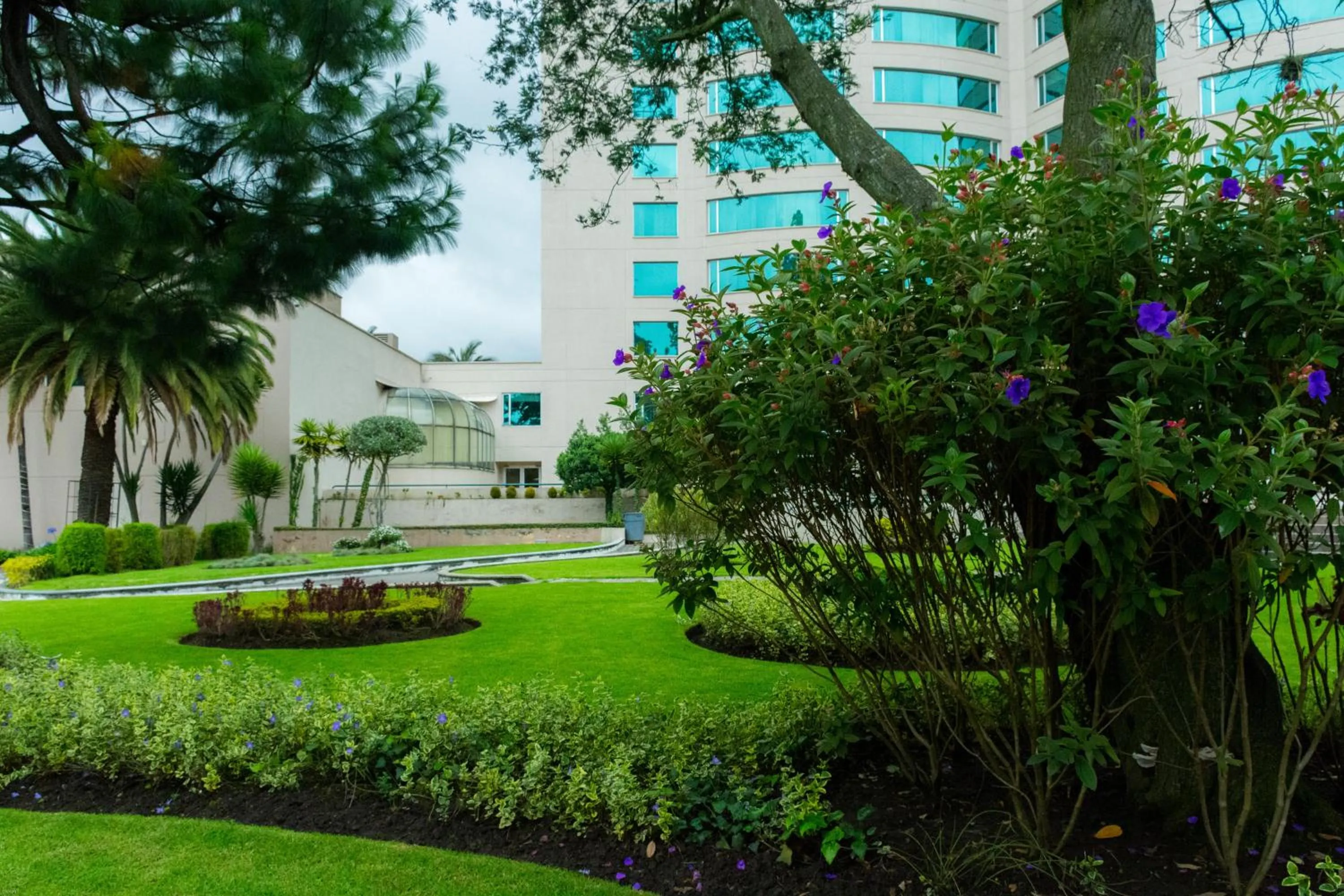 Garden in Aparta Hotel Torres de Suites