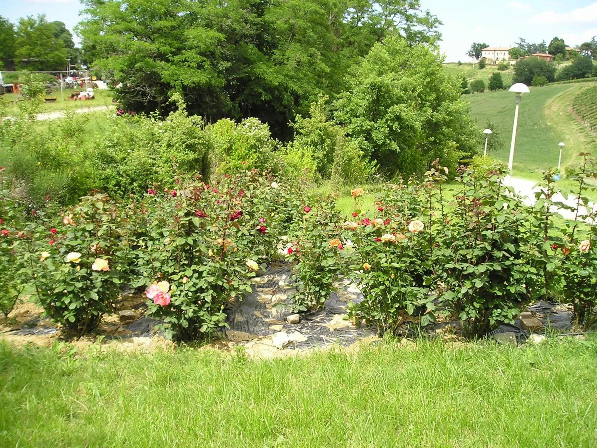 Garden in Agriturismo Gaggioli Borgo Delle Vigne
