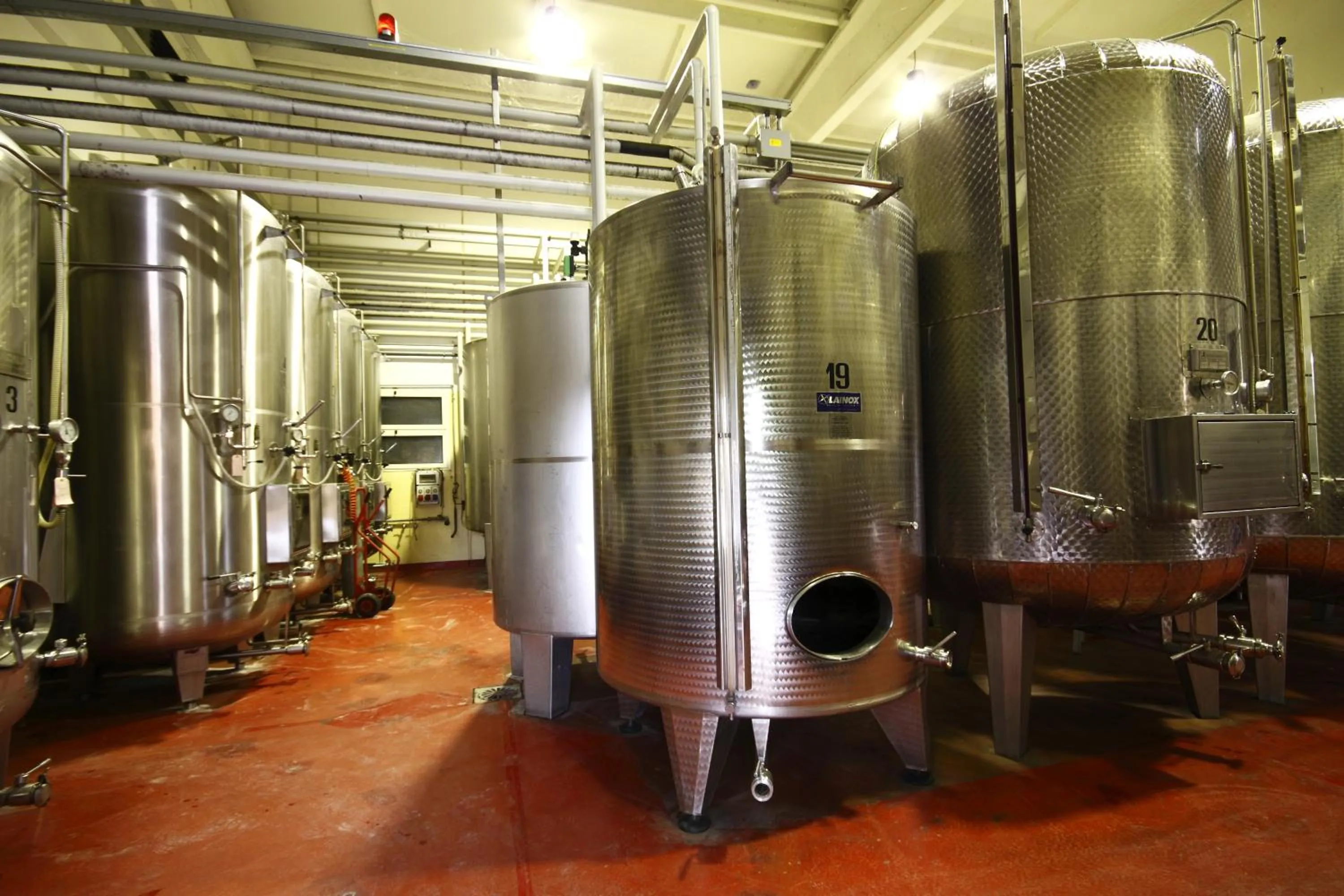 Activities in Agriturismo Gaggioli Borgo Delle Vigne