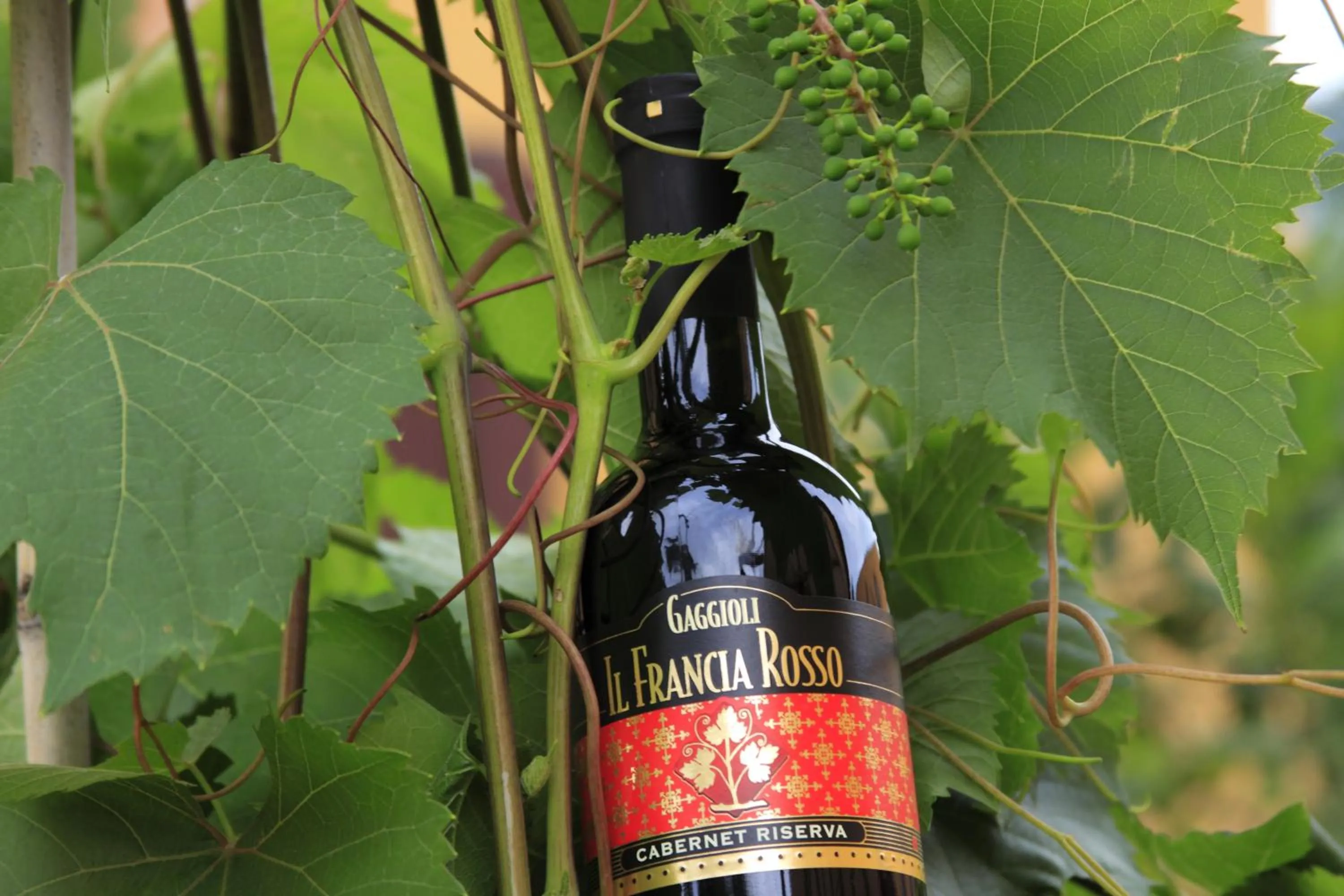 Alcoholic drinks in Agriturismo Gaggioli Borgo Delle Vigne