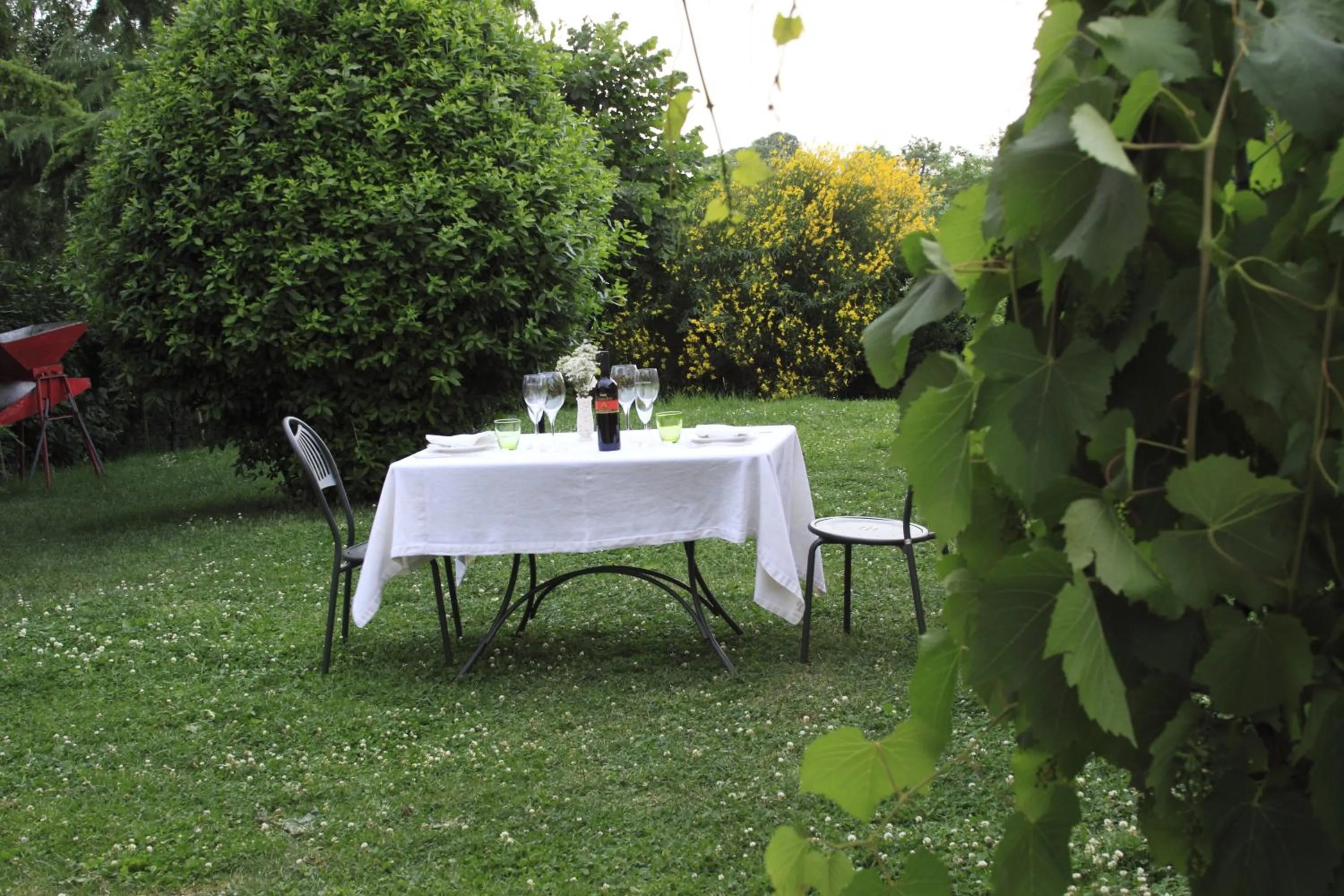 Garden view in Agriturismo Gaggioli Borgo Delle Vigne