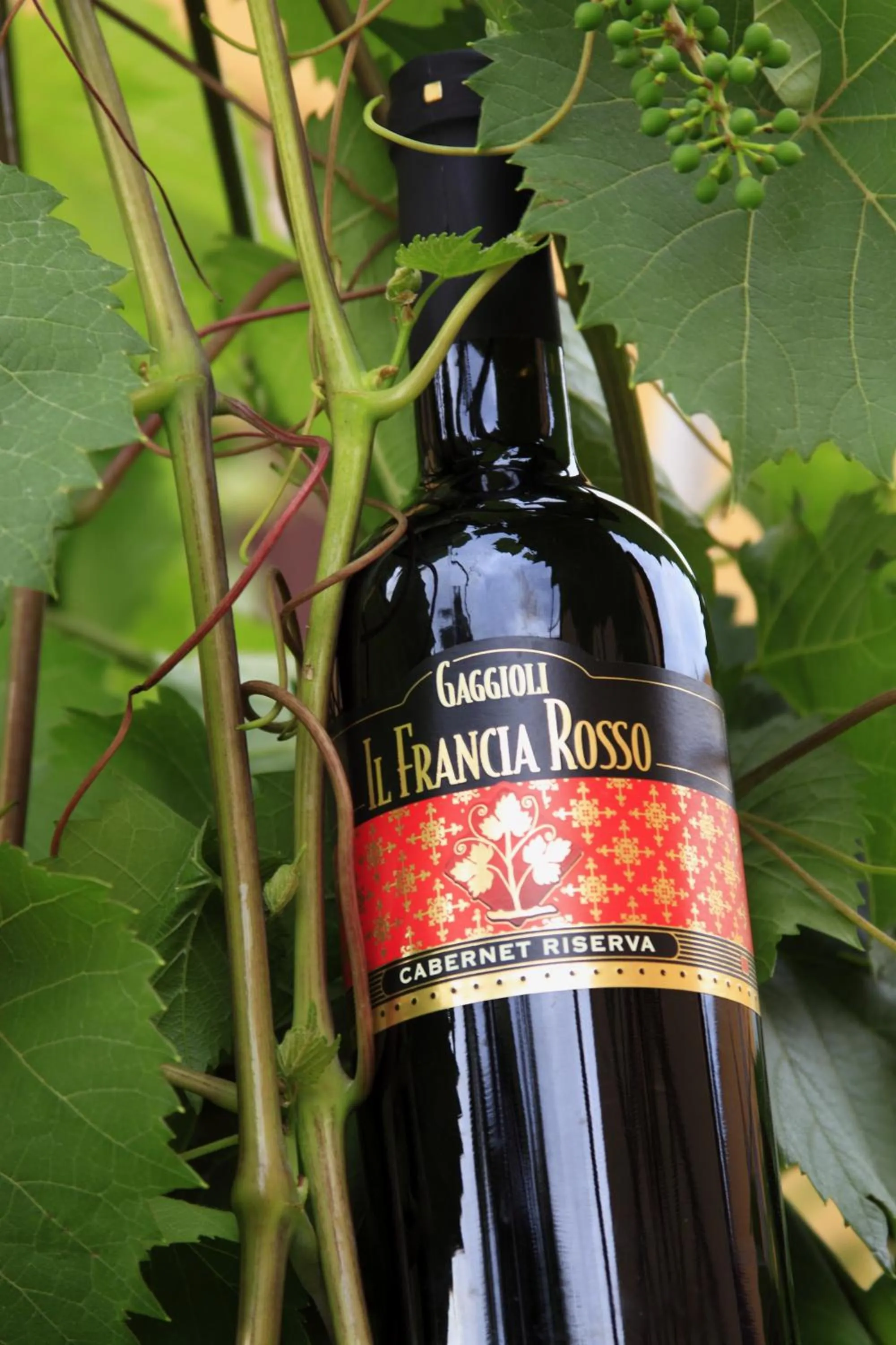 Alcoholic drinks in Agriturismo Gaggioli Borgo Delle Vigne