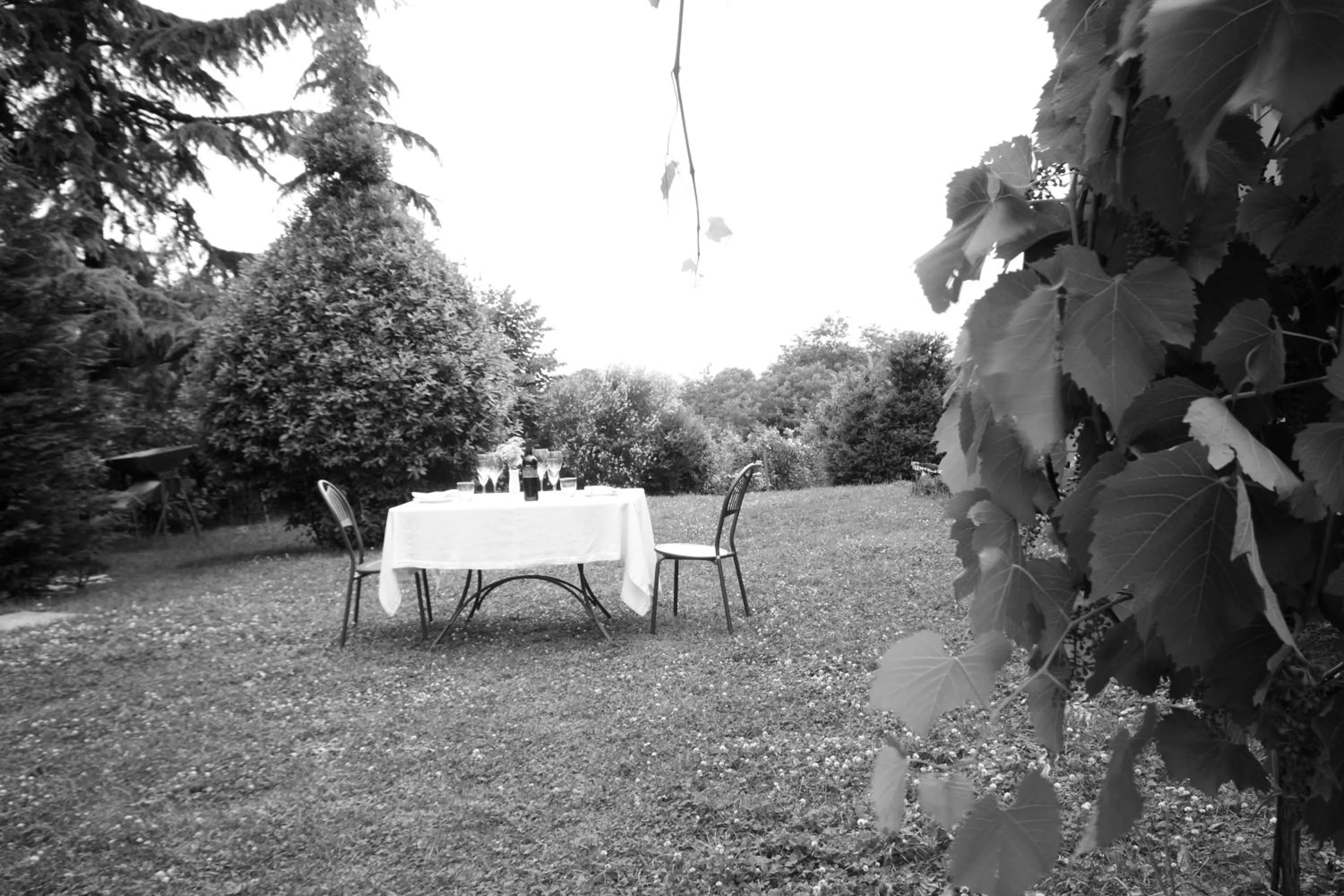 Garden in Agriturismo Gaggioli Borgo Delle Vigne