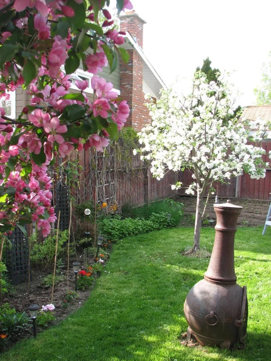 Day in The Grateful Bed B'n'B