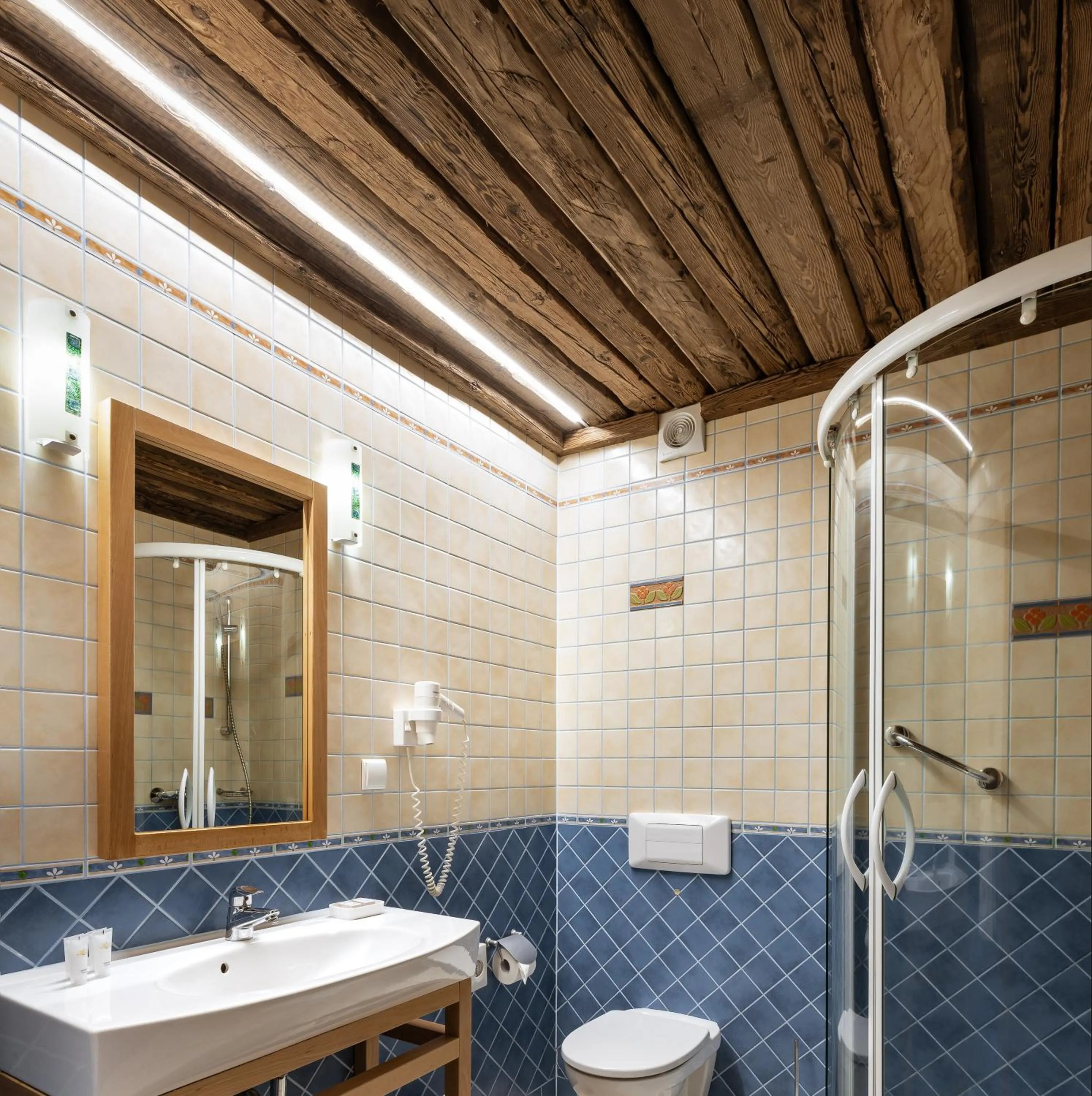 Shower in Alpejski Boutique Hotel