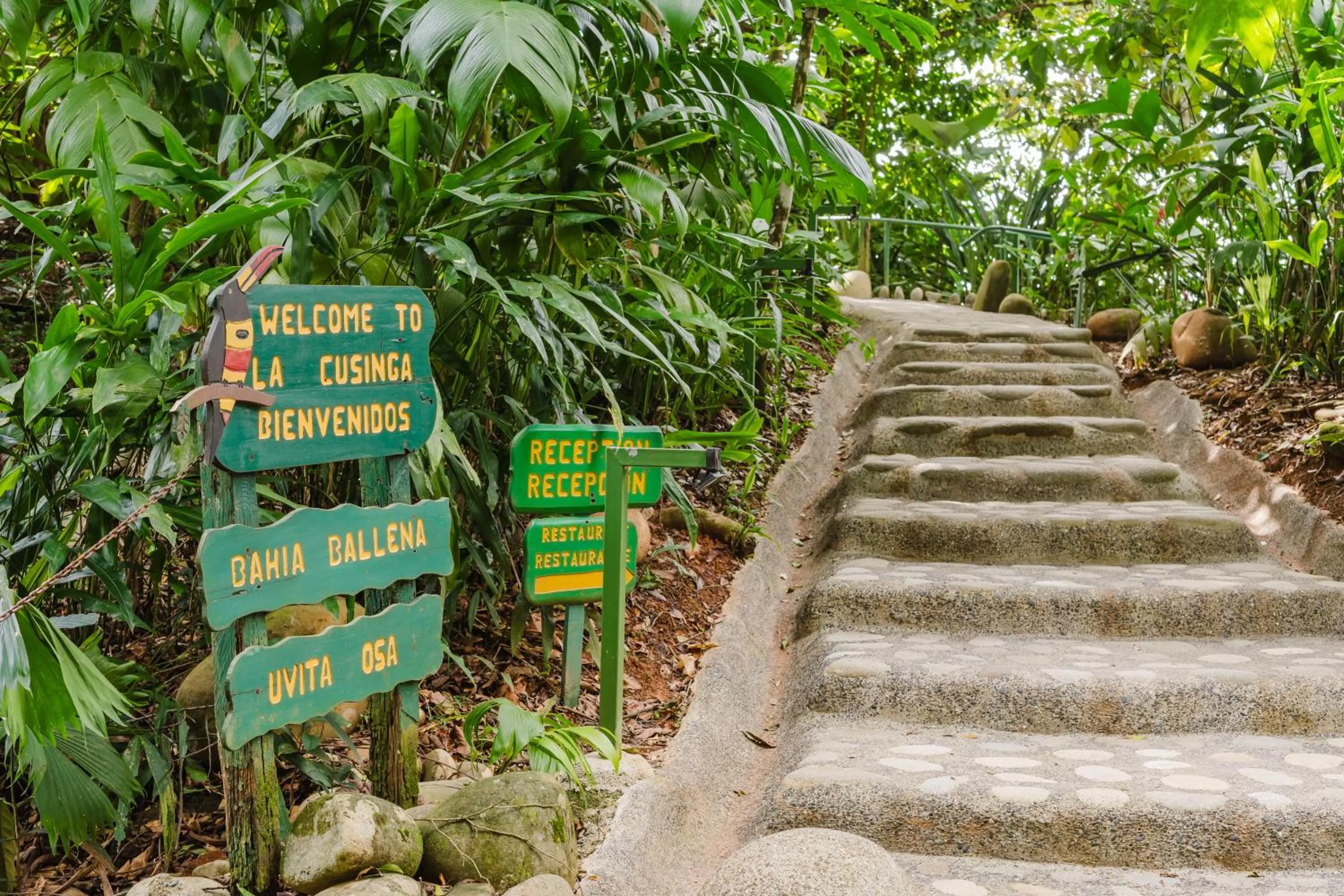 Lobby or reception in La Cusinga Lodge