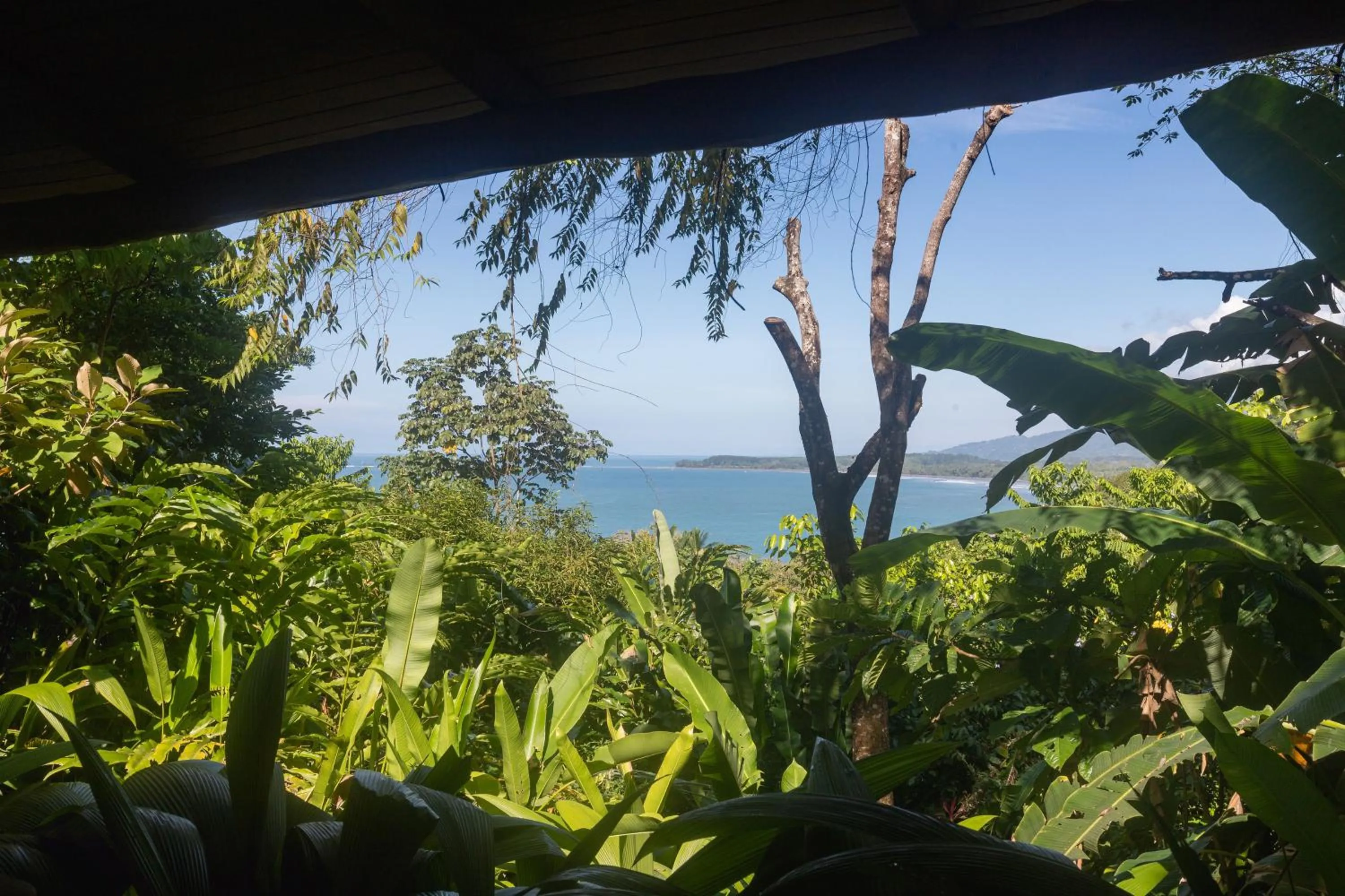 Spring in La Cusinga Lodge