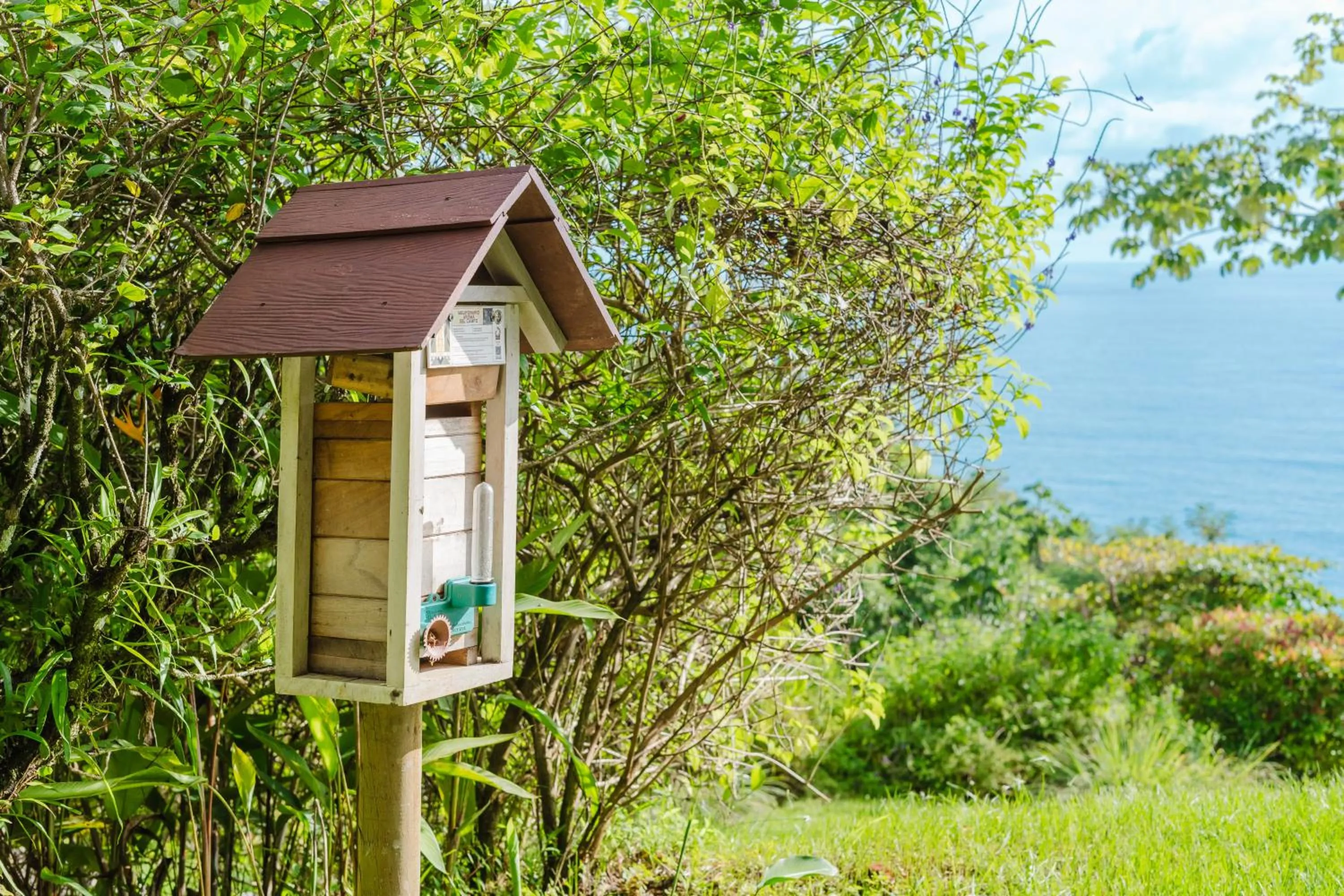 Garden view in La Cusinga Lodge