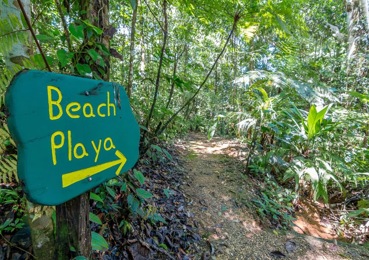 Day in La Cusinga Lodge