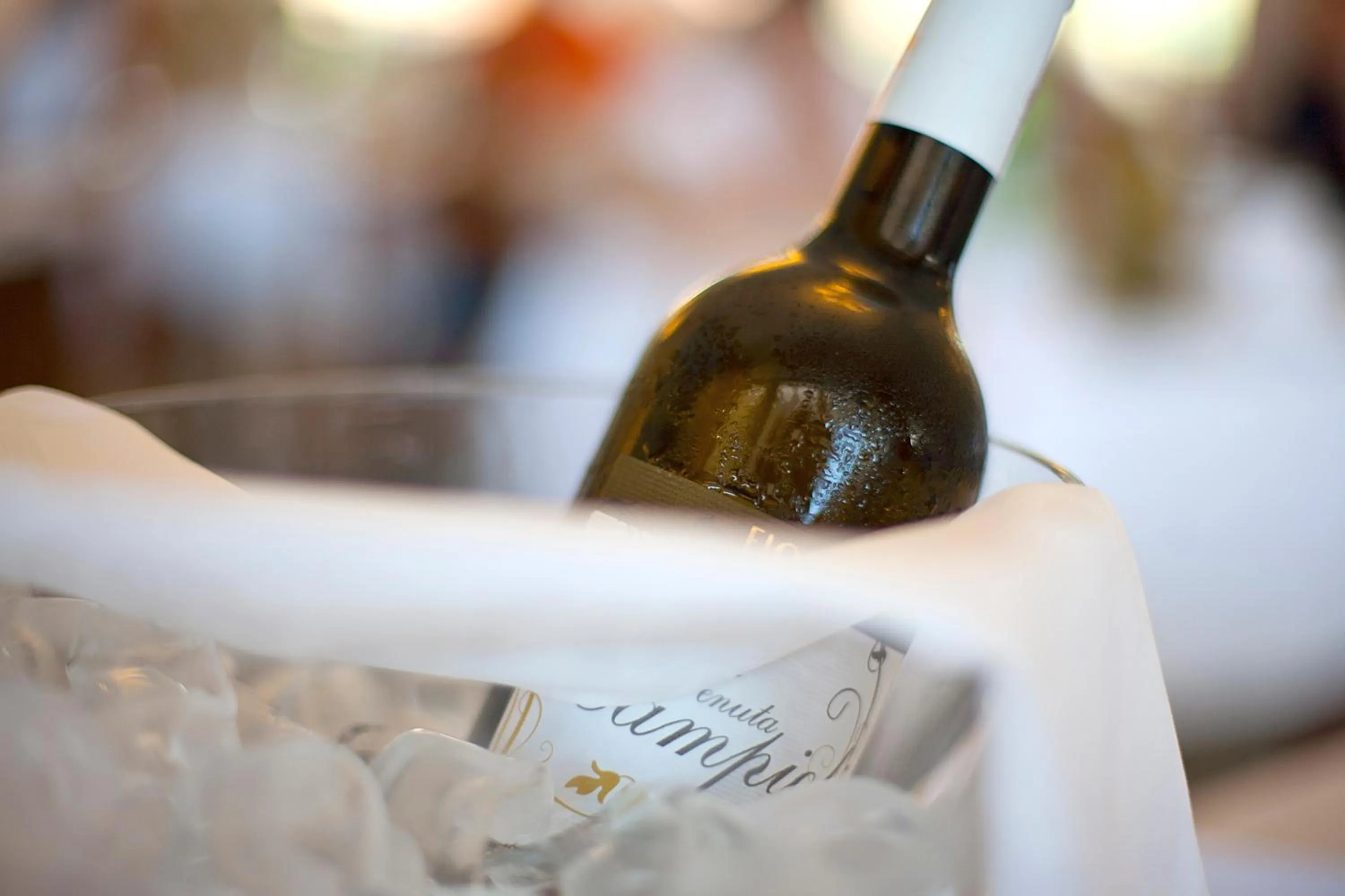 Restaurant/places to eat in Hotel Continental