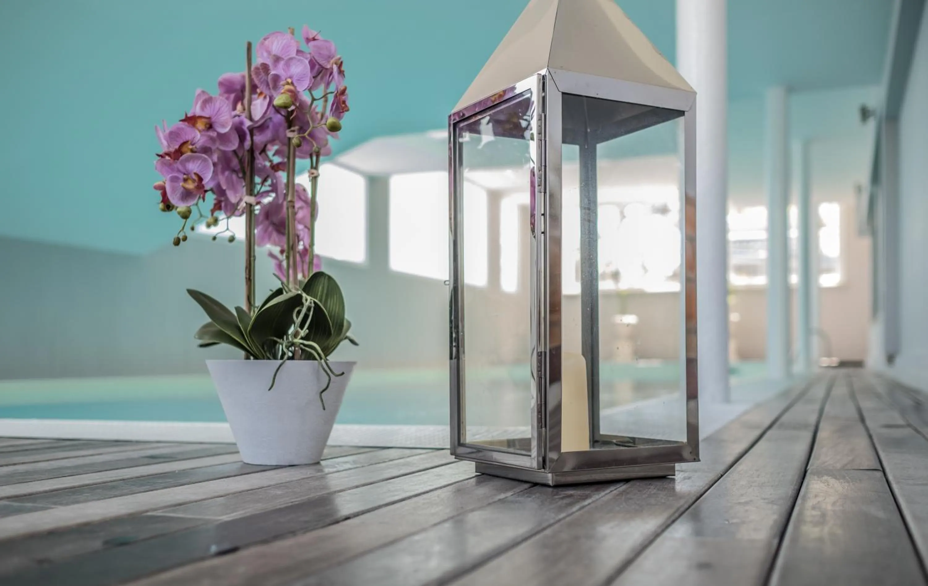 Area and facilities in Hotel Continental