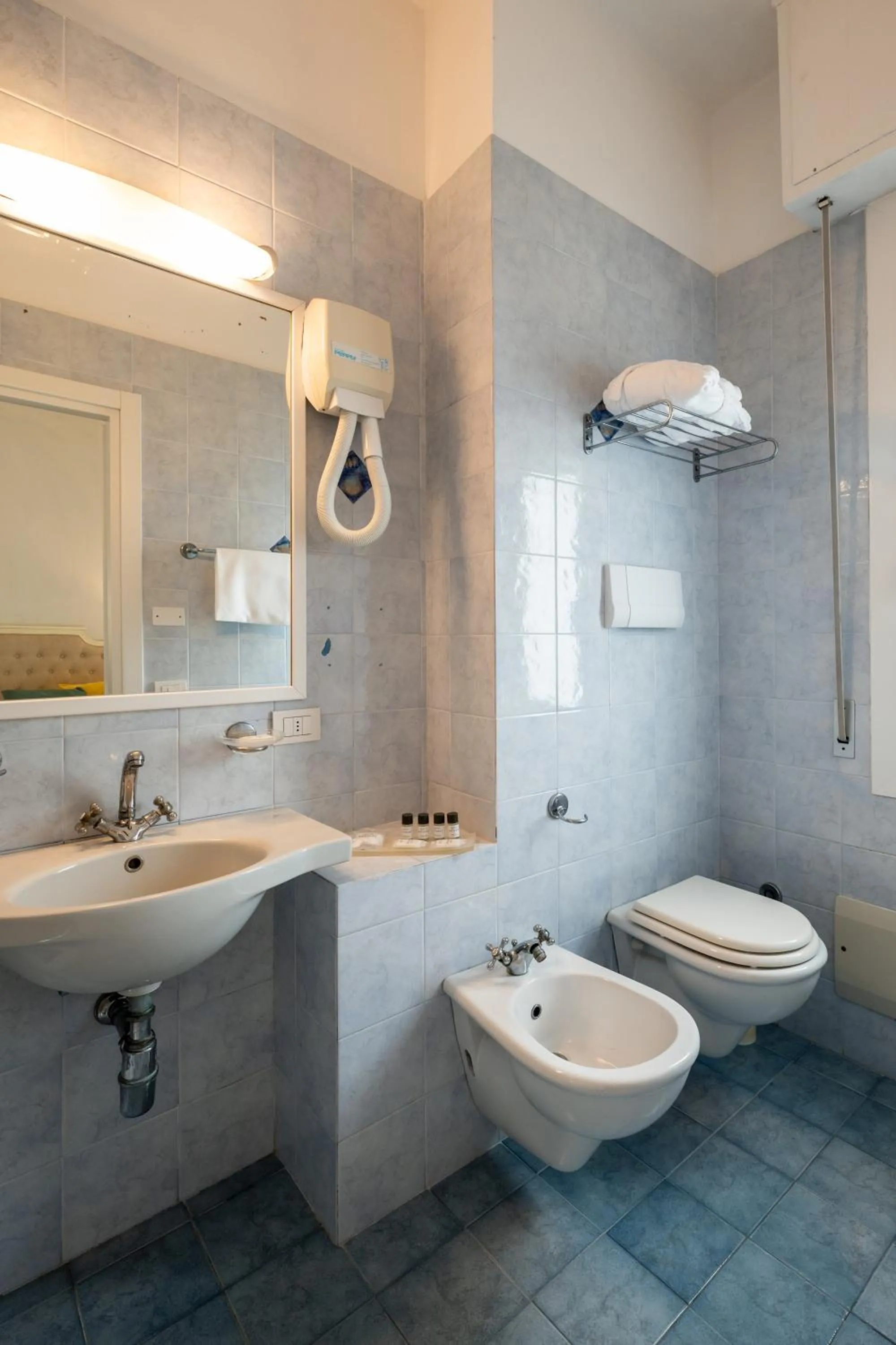 Toilet in Hotel Continental