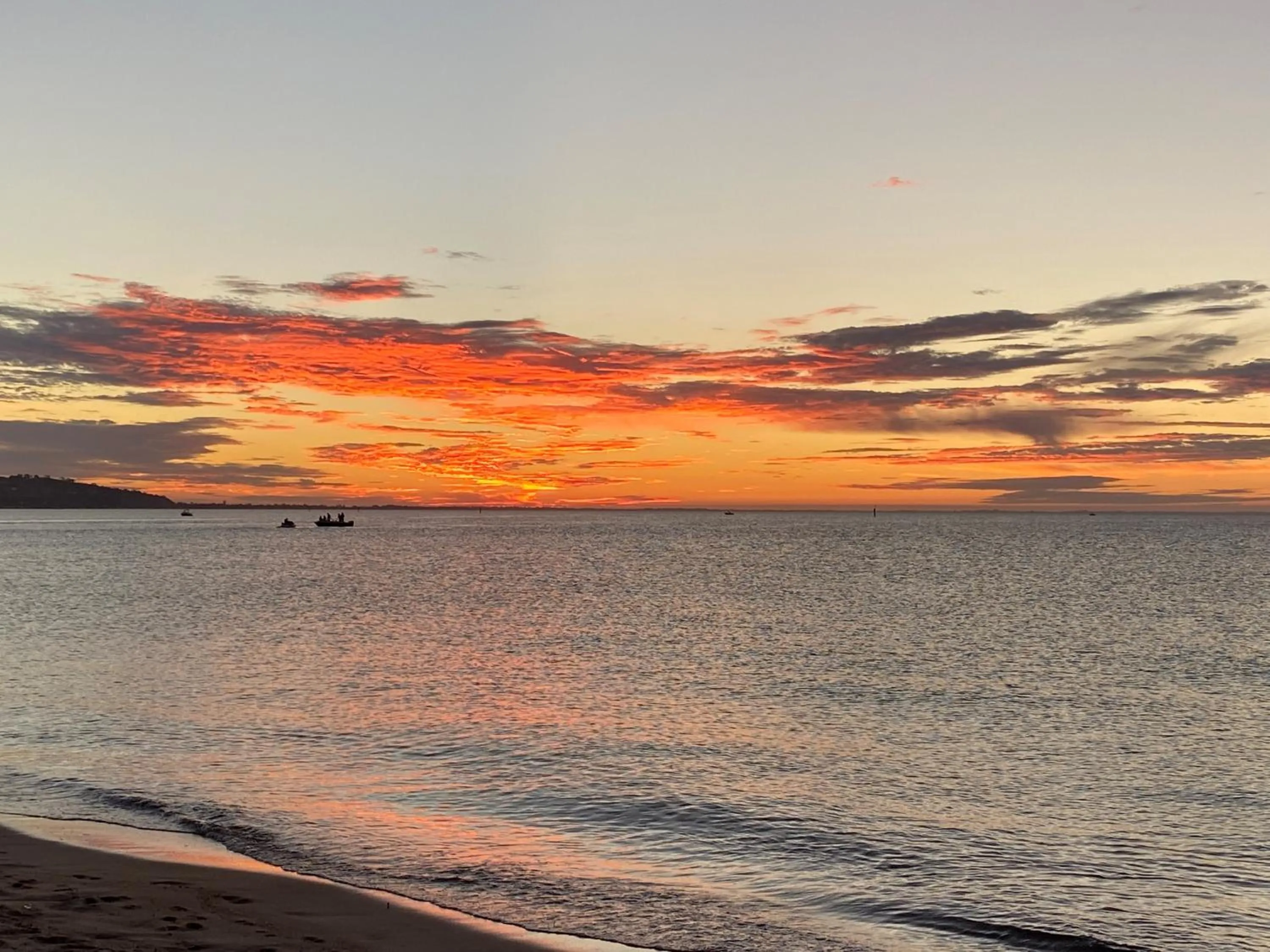 Natural landscape in Bay Motel Safety Beach