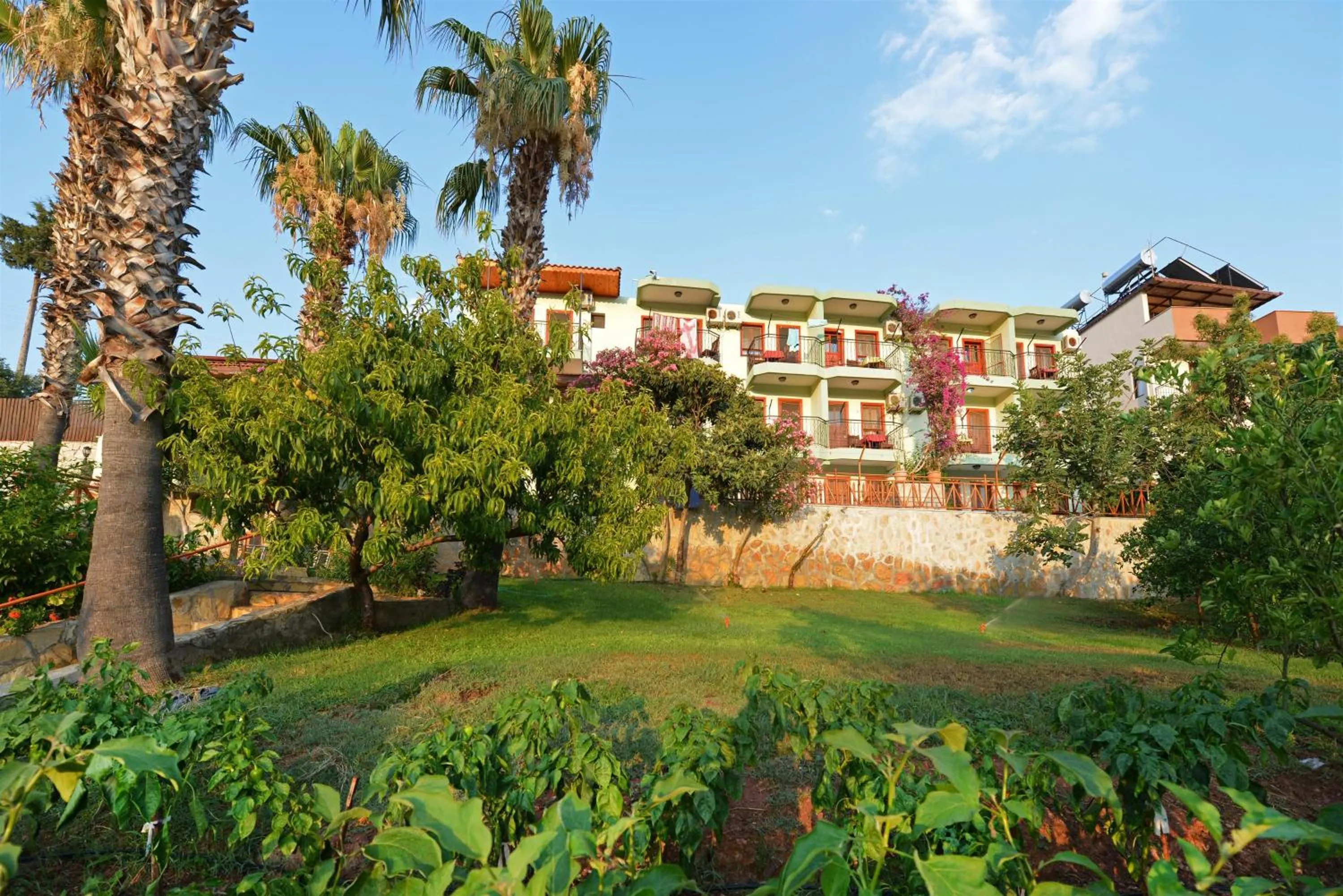 Garden in Patara Delfin Hotel