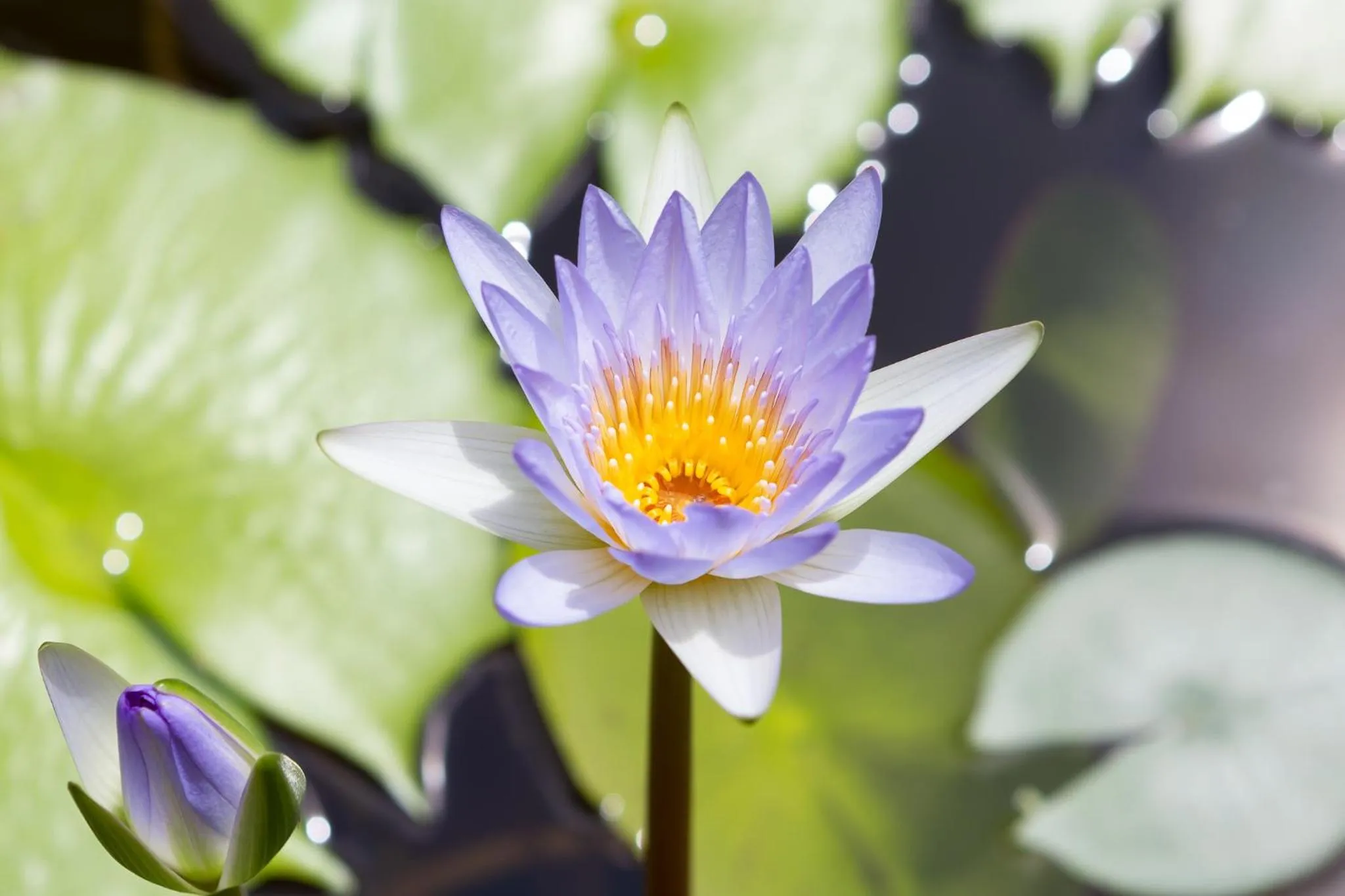 Decorative detail in Casa Brazil Homestay
