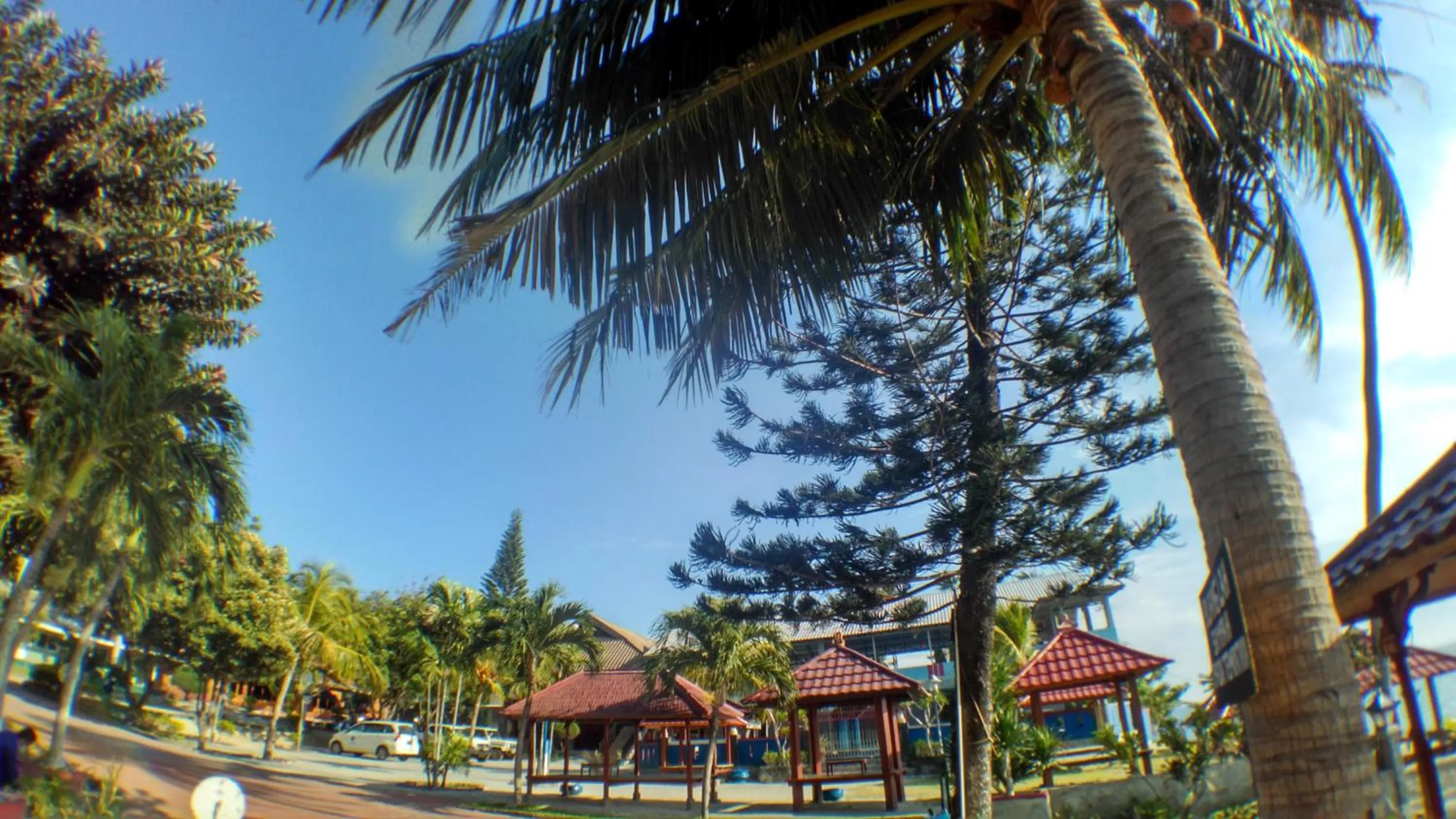 Garden in Amazing Beach Resort Palu