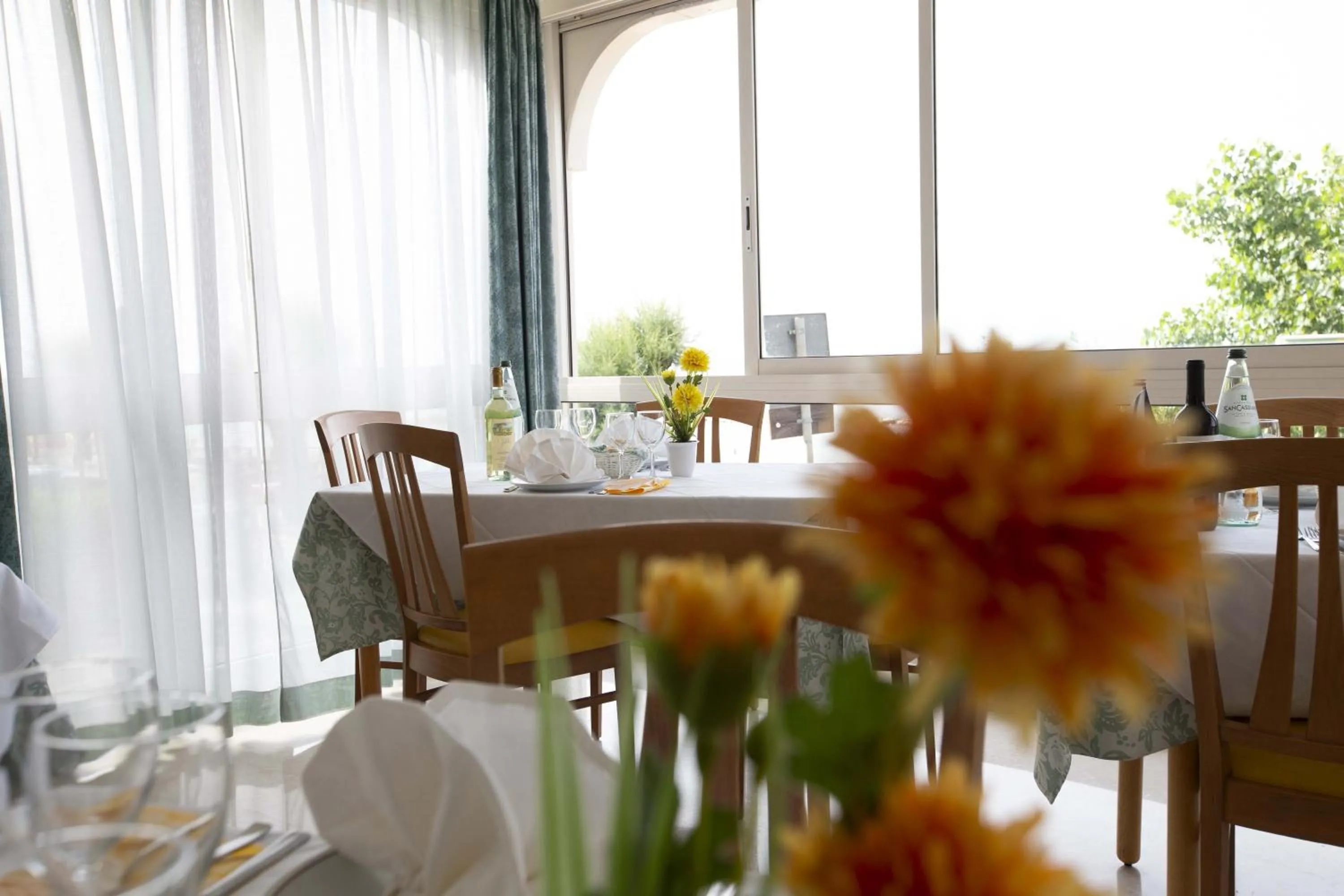 Restaurant/places to eat in Hotel Gloria