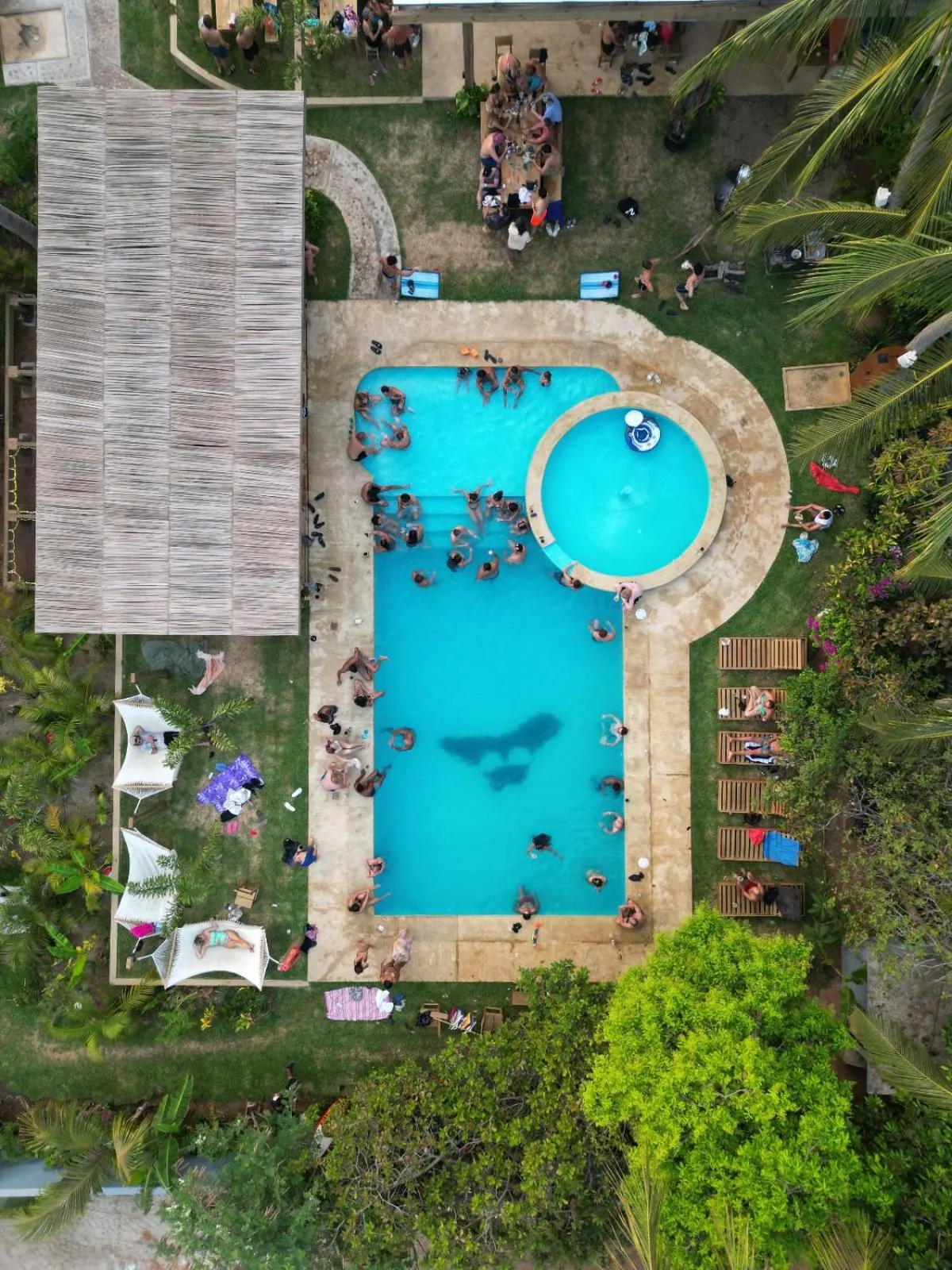 Swimming pool in Straw Hat Surf Hostel & Bar