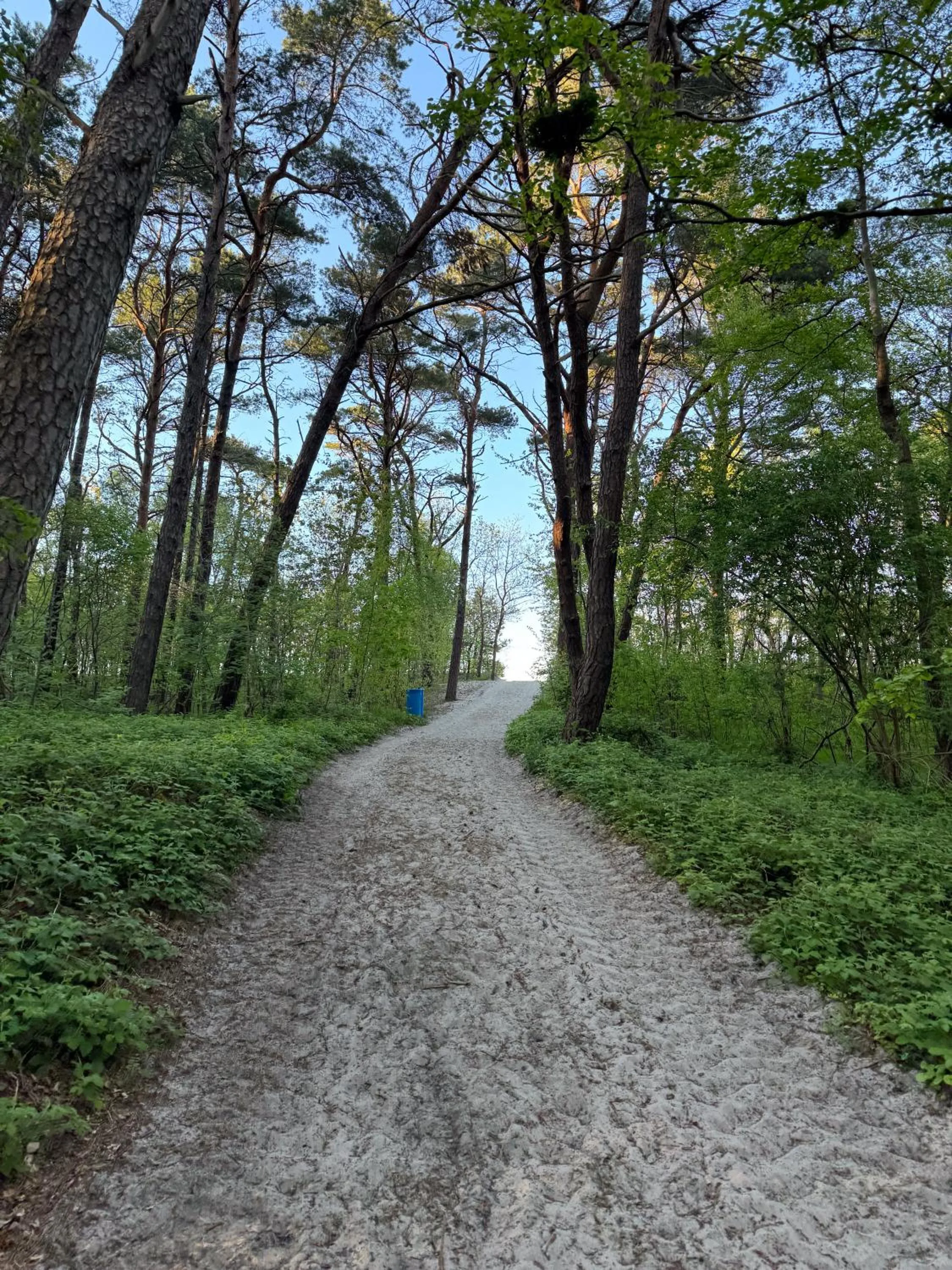 Off site in Półwysep Natura Tour
