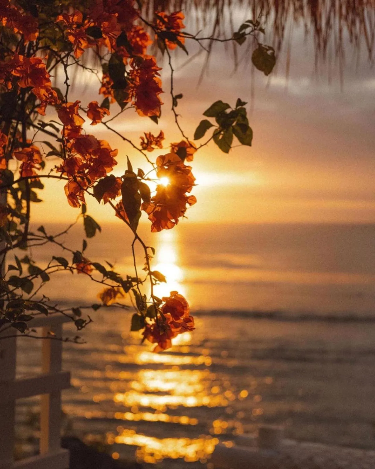 Sunset in Villa Deeksha