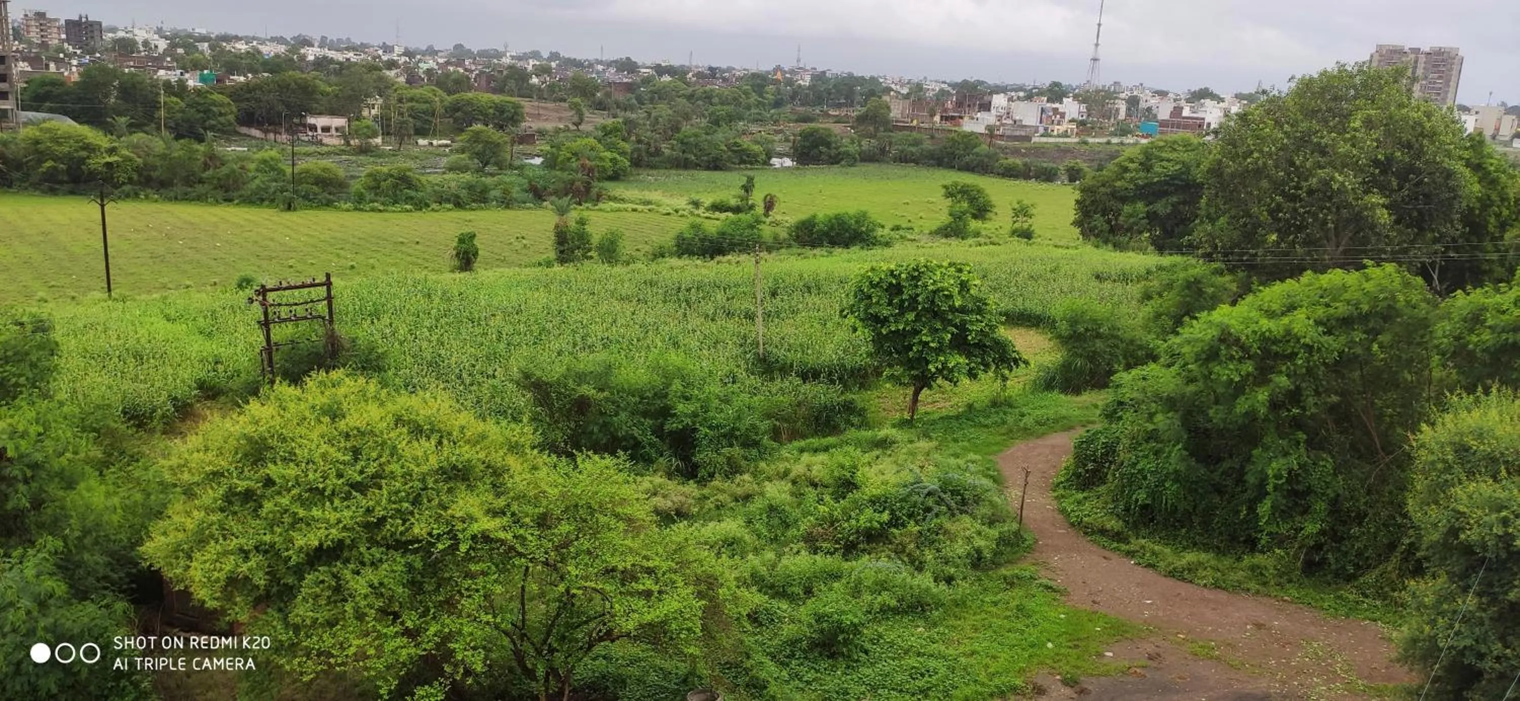 Natural landscape in Ruchishree Garden
