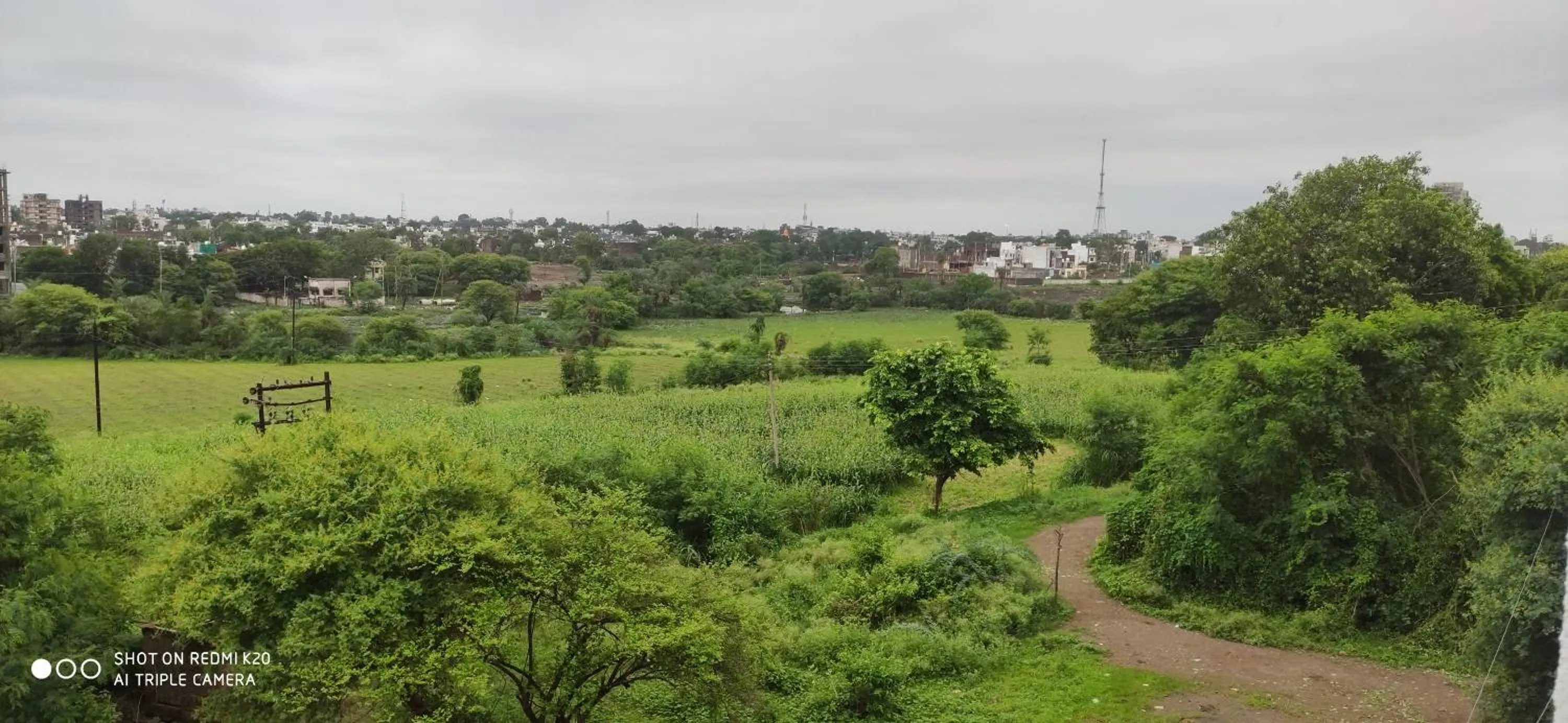 Natural landscape in Ruchishree Garden