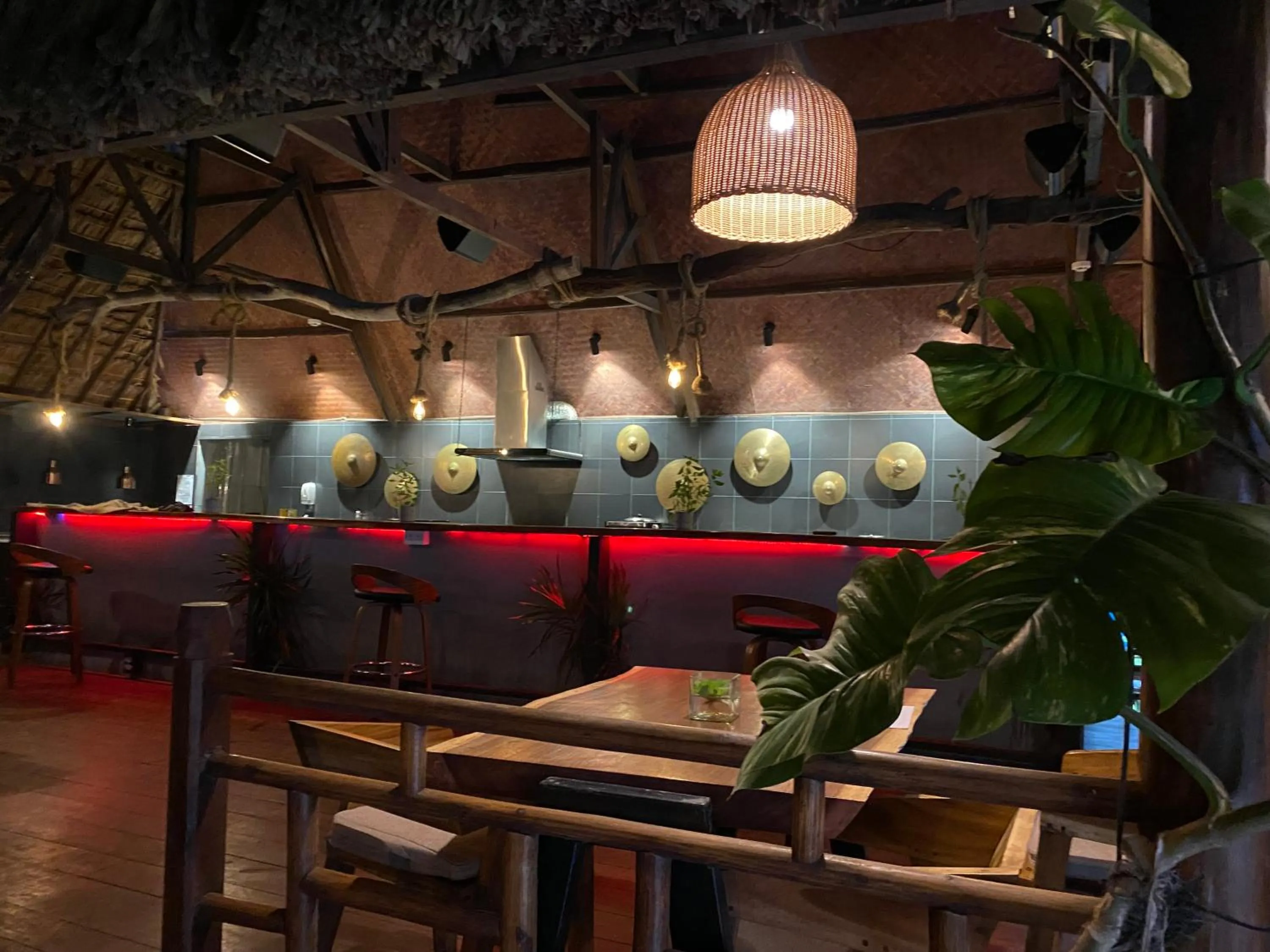 Restaurant/places to eat in Wild Orchid