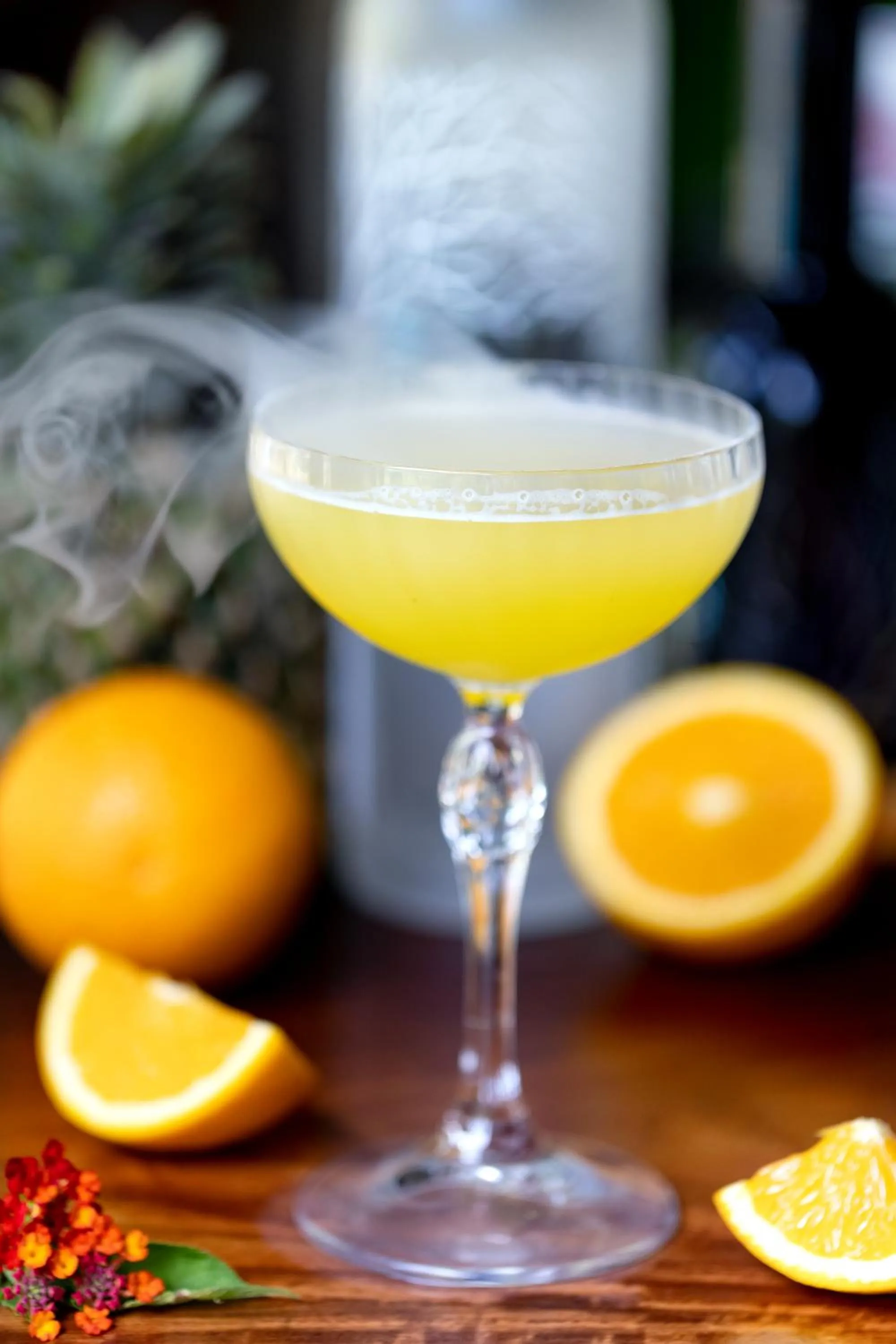 Restaurant/places to eat in Wild Orchid